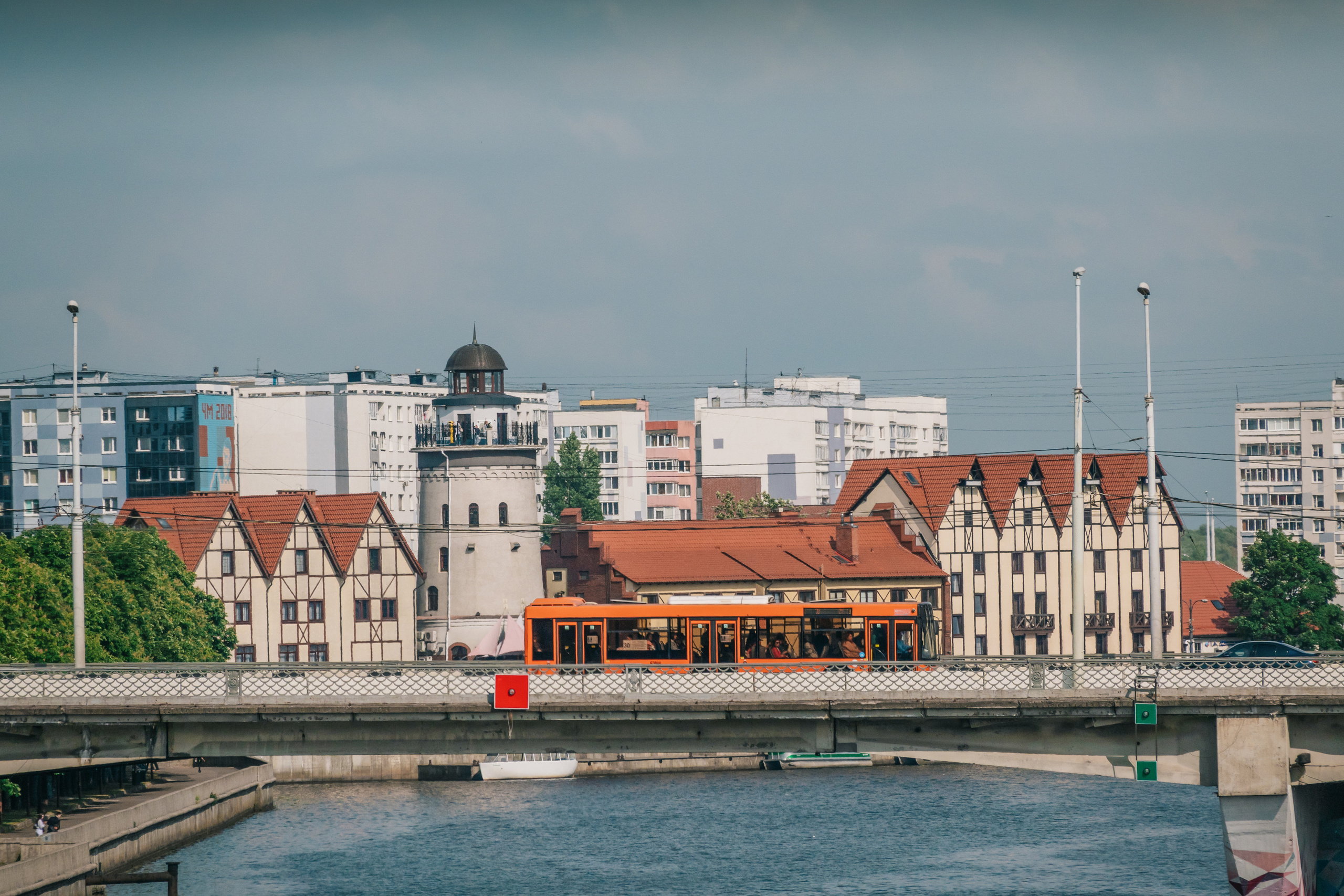 Калининград 2023. Фотограф-анималист в Москве Юлия Лайхо