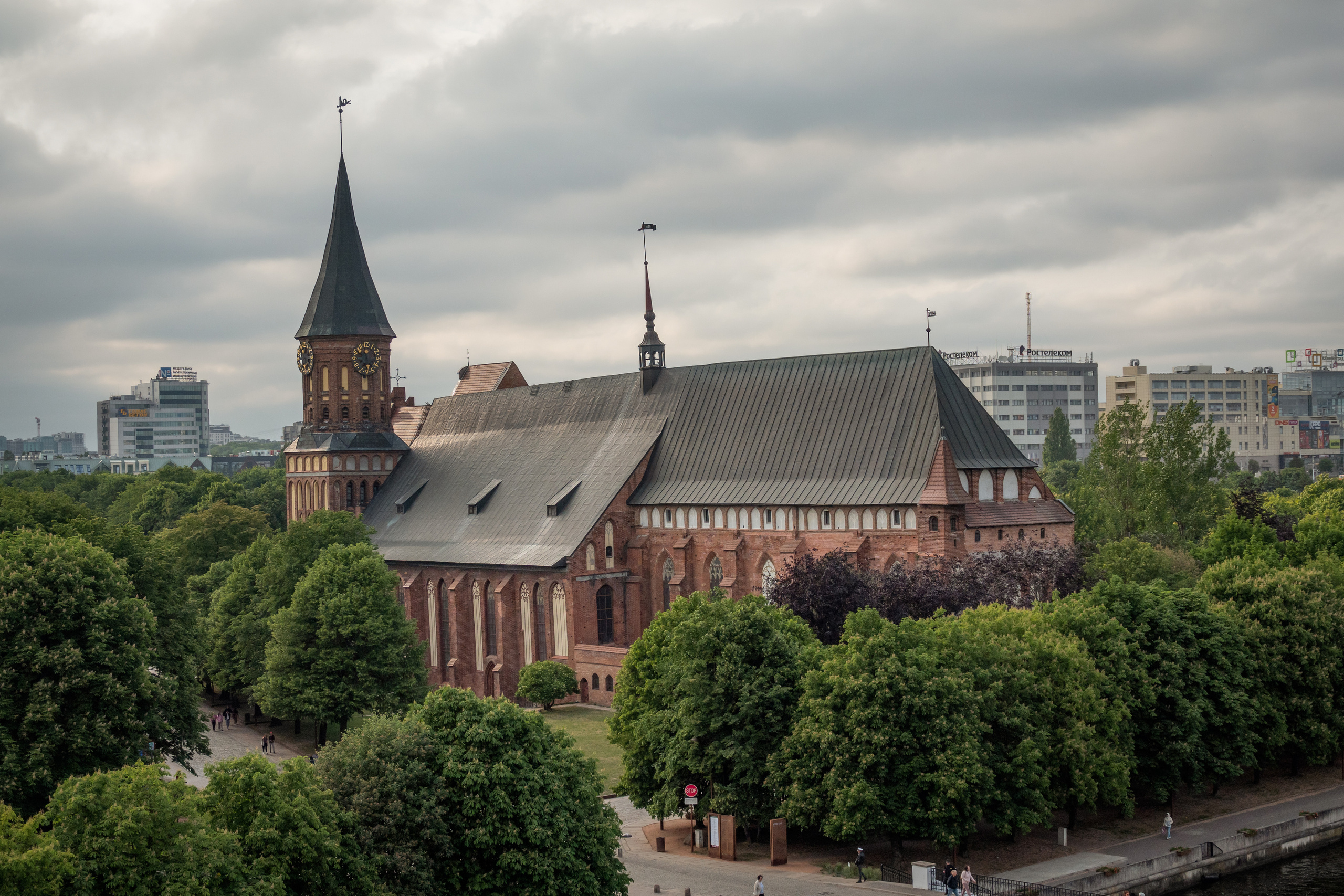 Калининград 2023. Фотограф-анималист в Москве Юлия Лайхо