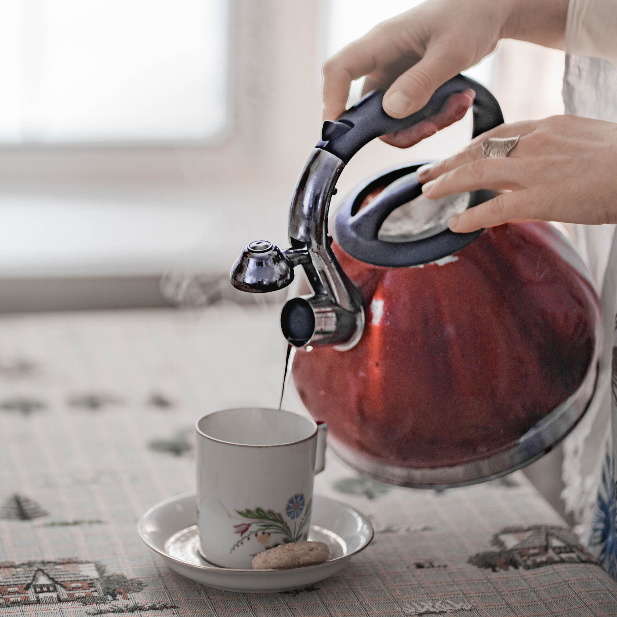 Winter photo shoot at home