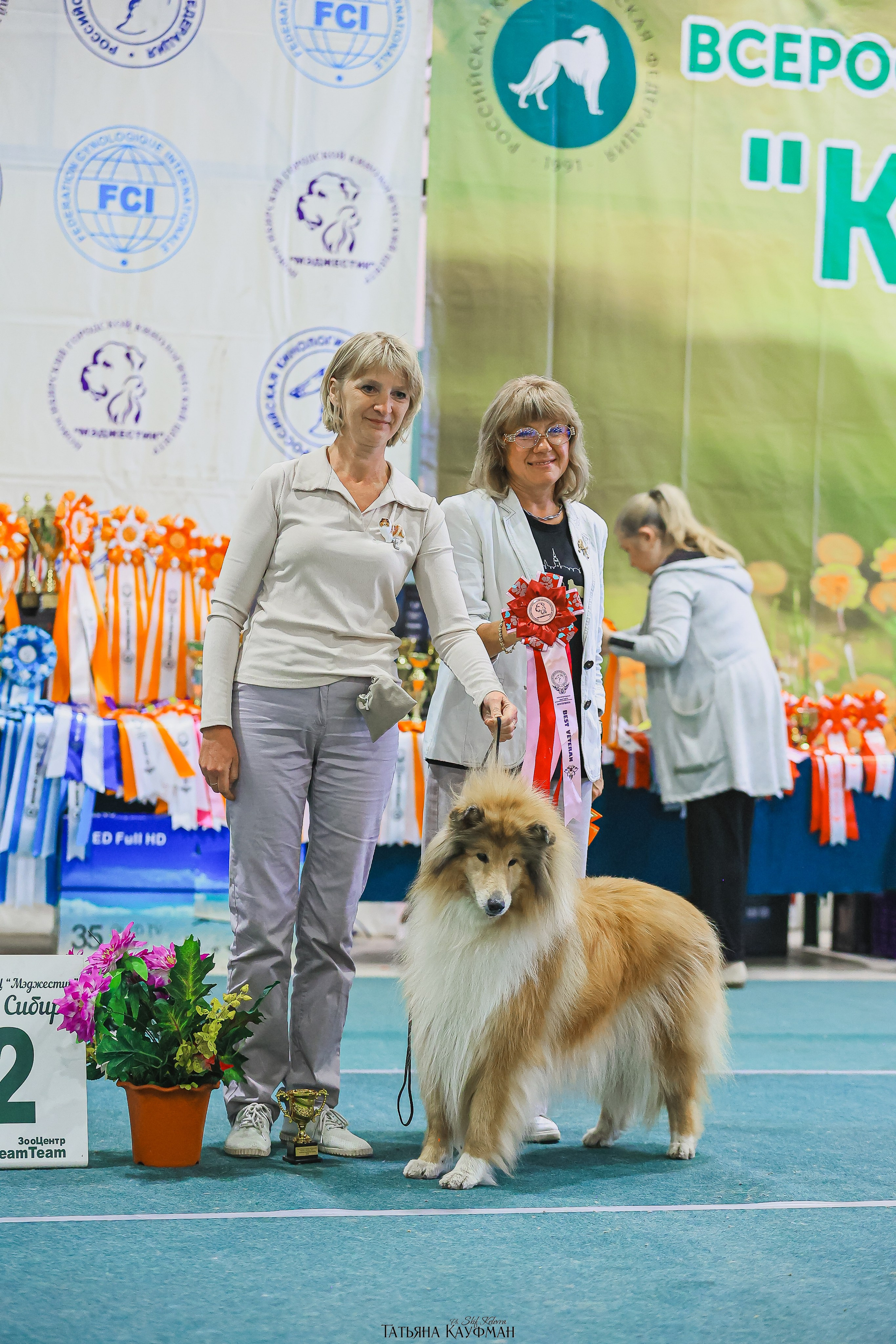 13.07.25 2х выставки собак. Новосибирск. «Кубок Сибири»
