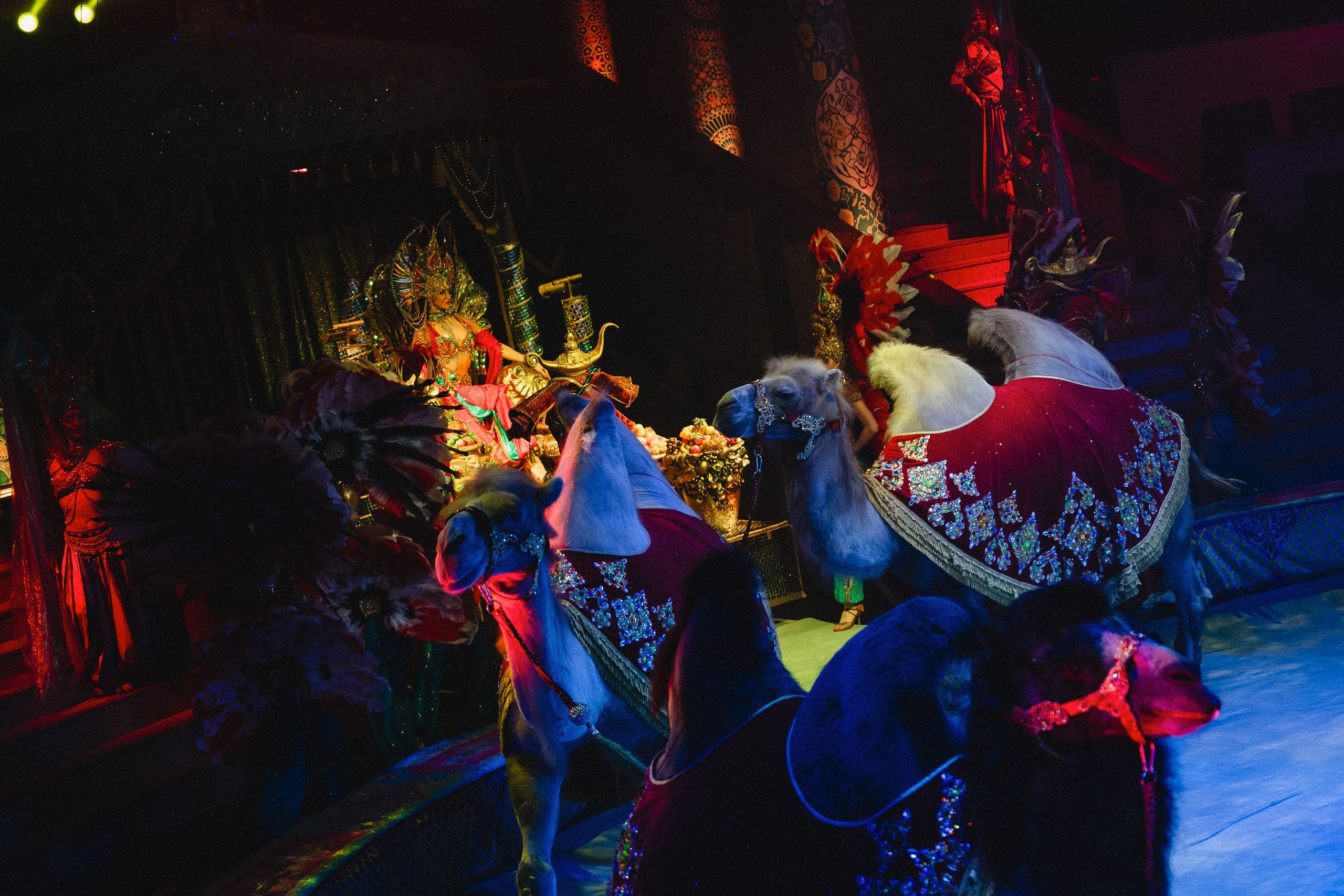 Пресс-показ шоу «Песчаная Сказка». Воробьева Ксения — Спортивный и танцевальный фотограф Новосибирск