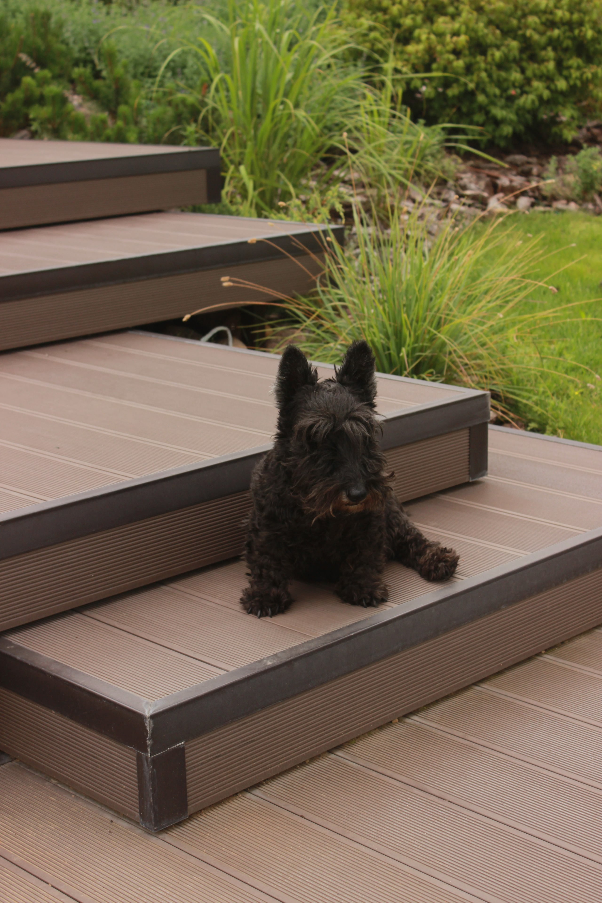 GARDEN IN S. LA. Ландшафтный дизайн в Минске и Гродно