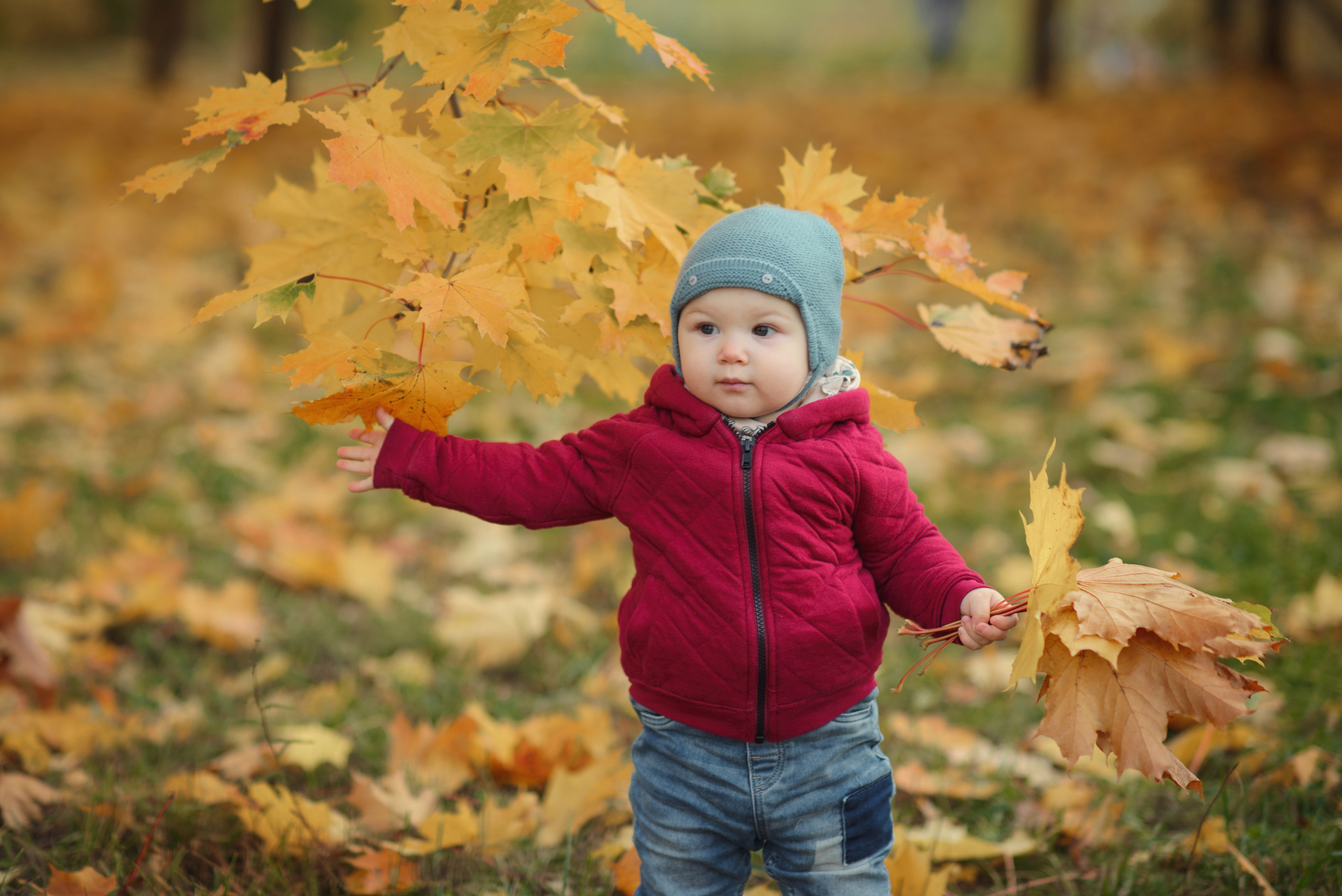 Photo shoot of a little child in autumn. Photos with yellow leaves