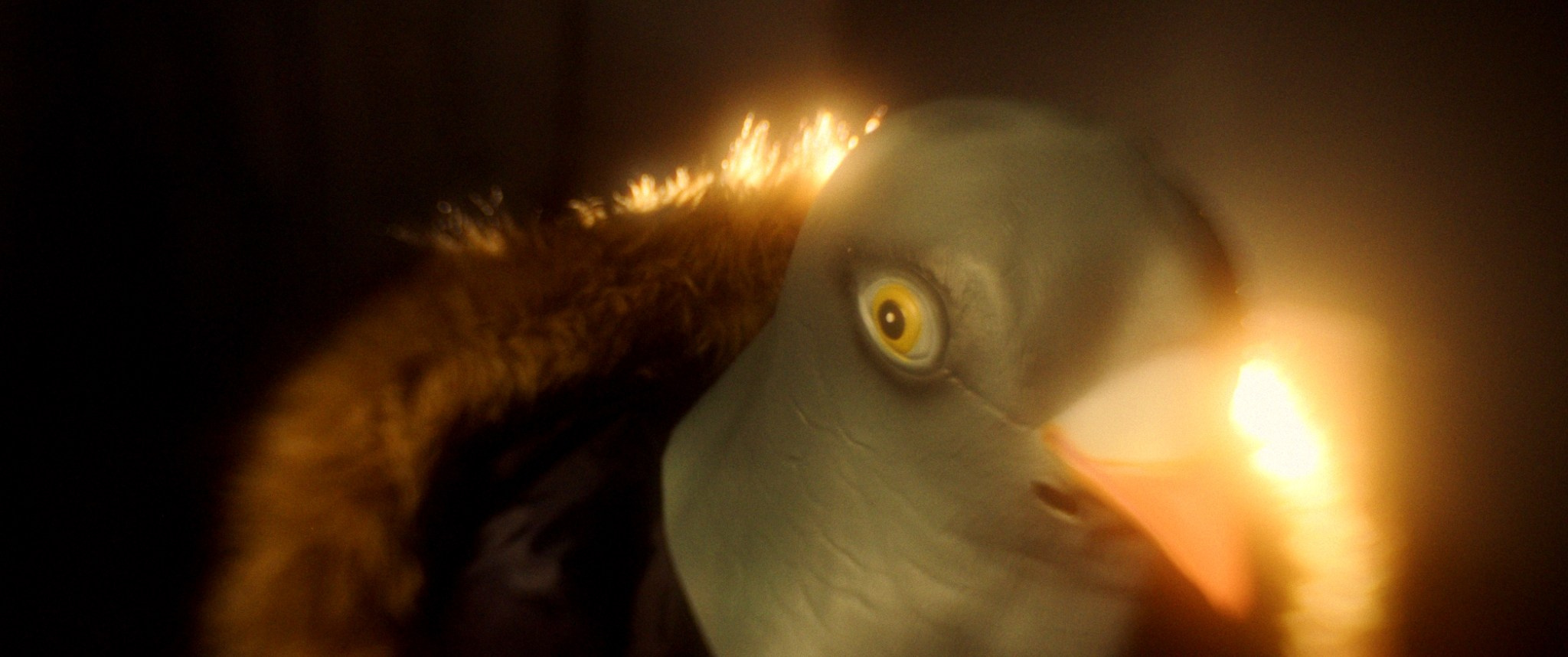 FIREBIRD (2024). ALEXEI RODIONOV