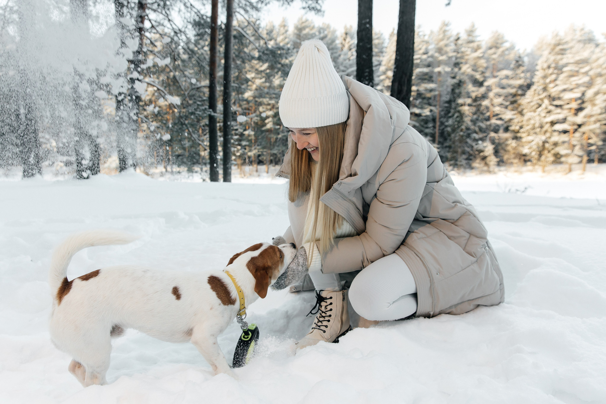 Света, Саша и Честер 🐾. Свадебный фотограф Настя Шелл г. Череповец
