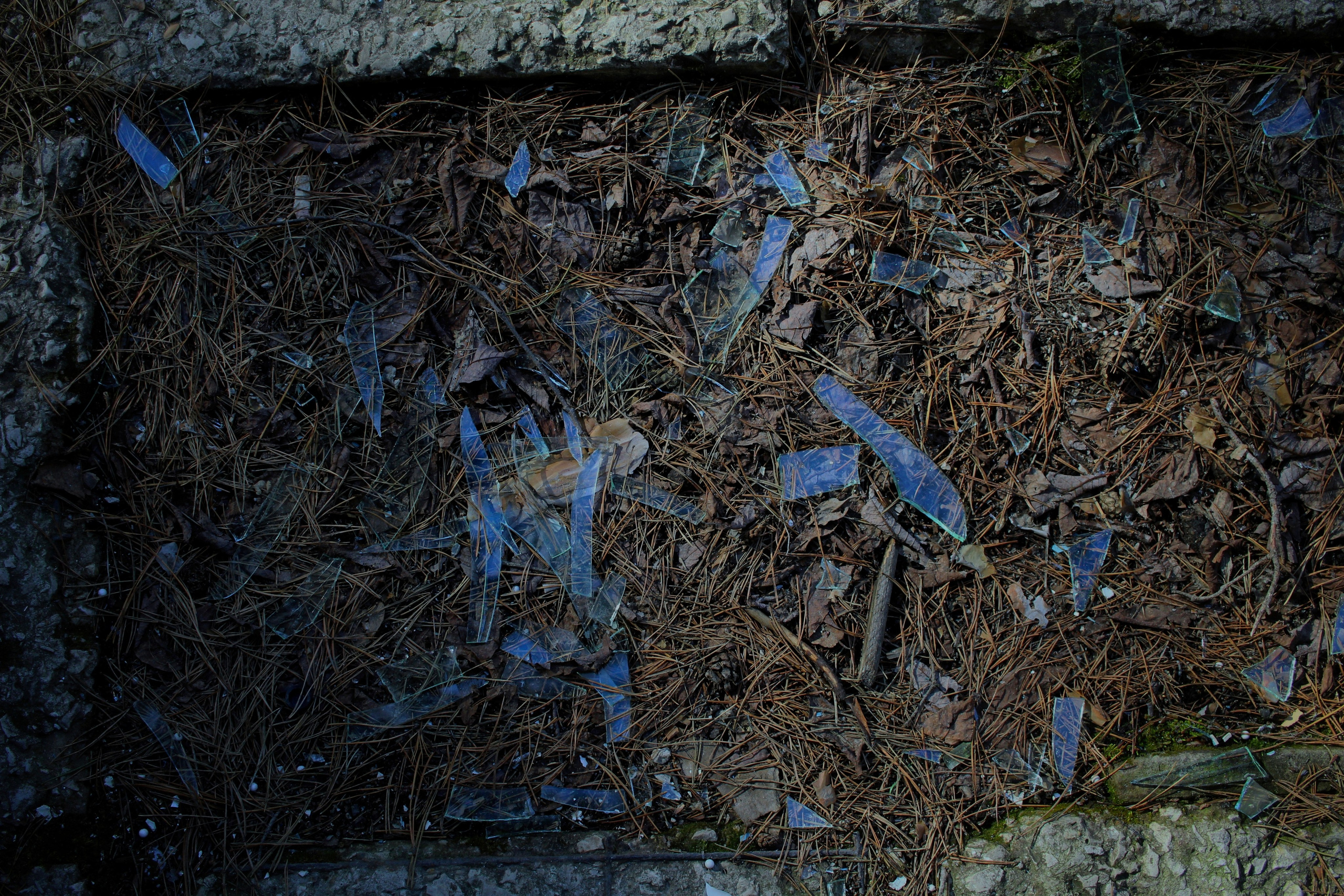 Исчезающие. Фотограф в Самаре Варвара Макарова