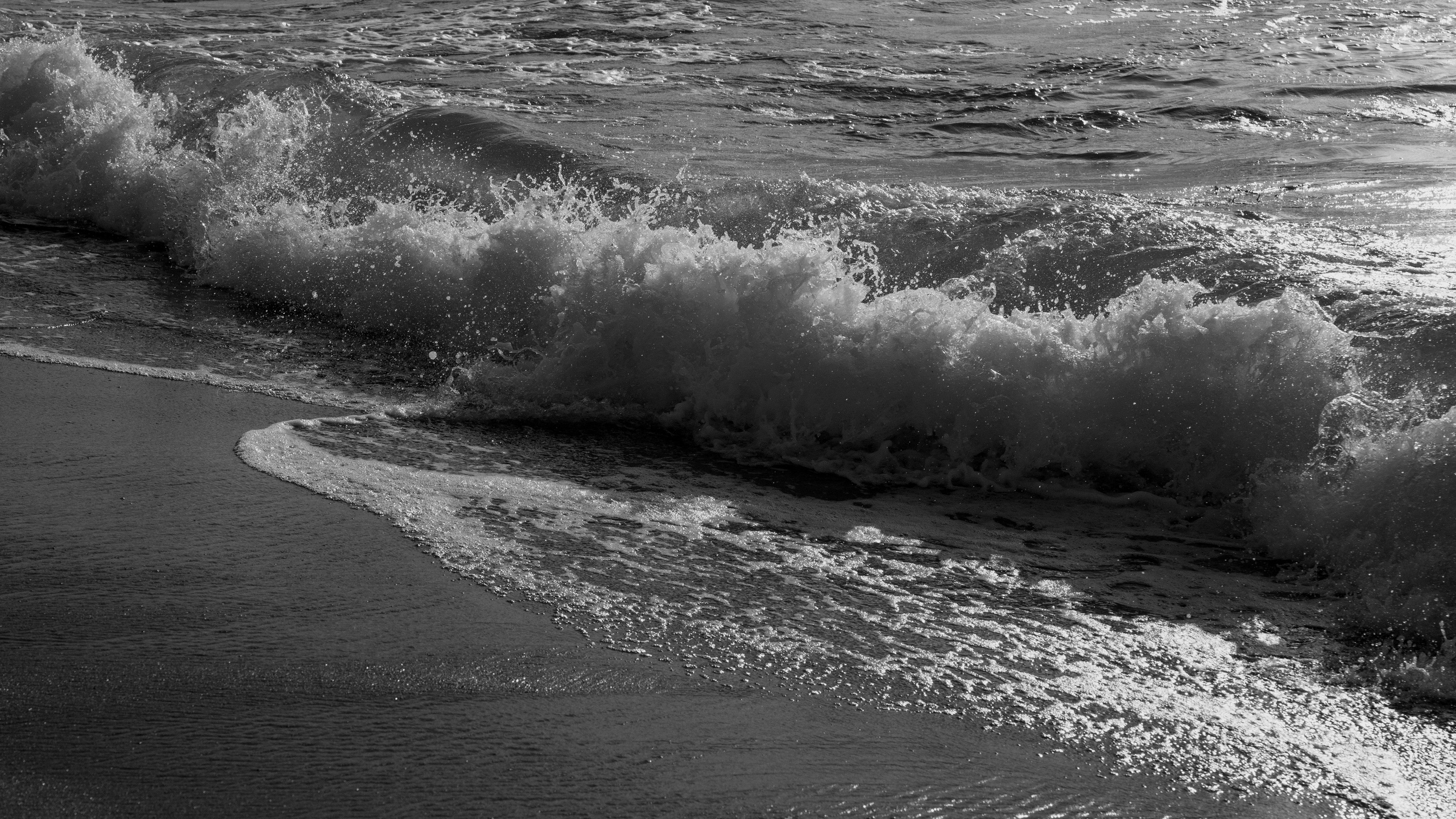 Wedding. Фотограф Злата Смирнова
