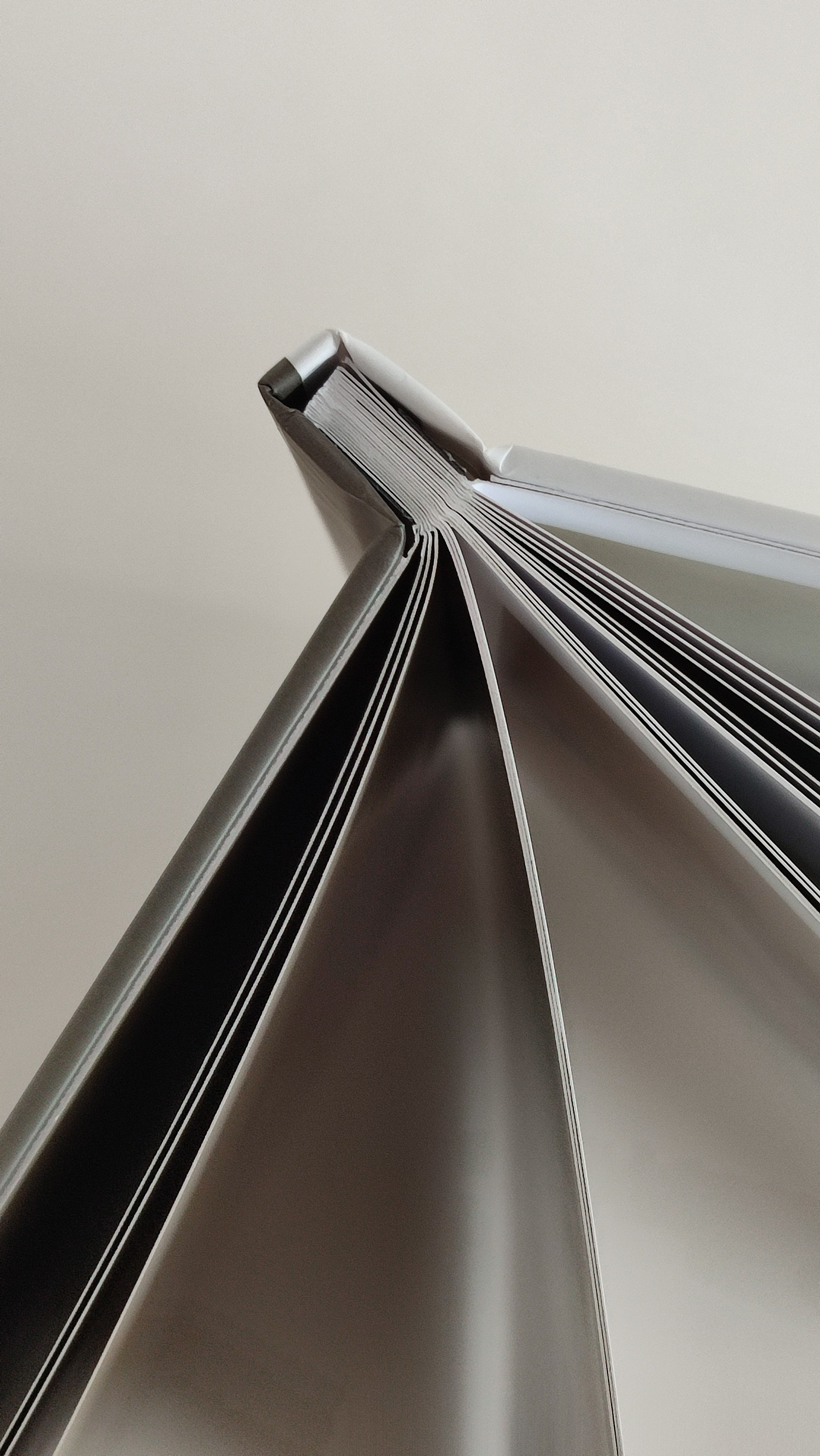 Школа. Фотограф в Санкт-Петербурге Знаменская Ирина