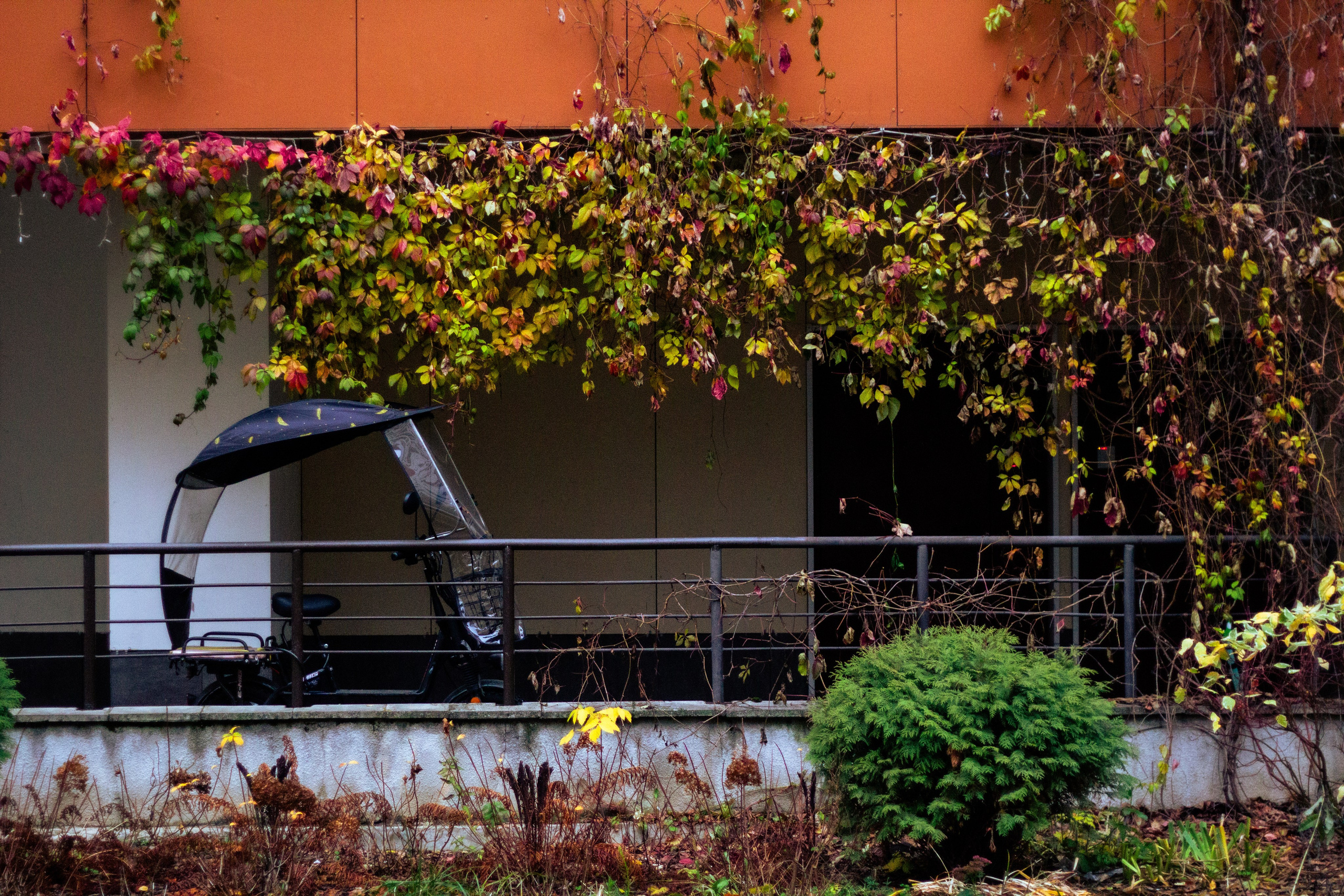 Осень в Москве. Фотограф Москва, портрет, стрит, репортаж. Художественная фотосессия
