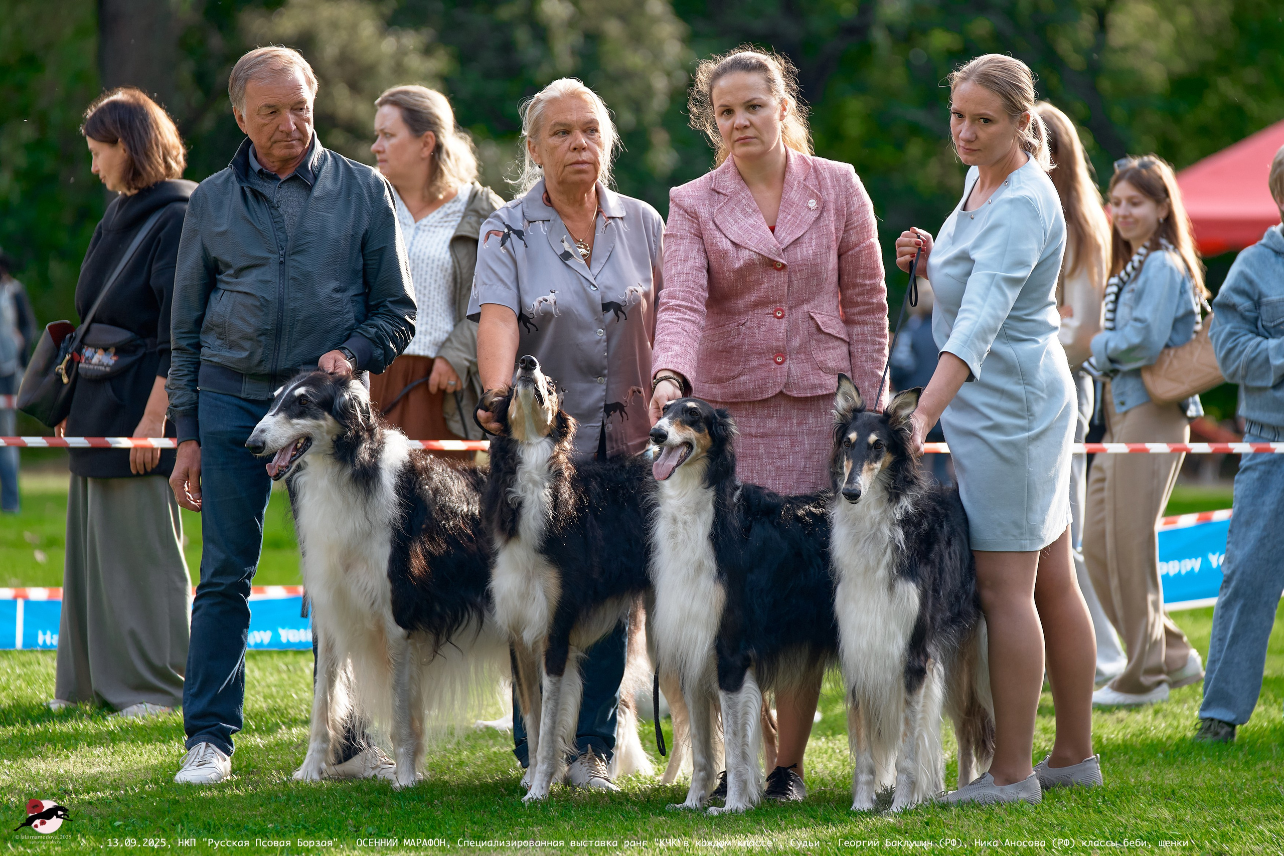 ОСЕННИЙ МАРАФОН | Специализированная выставка породы Русская Псовая Борзая ранг "КЧК в каждом классе"