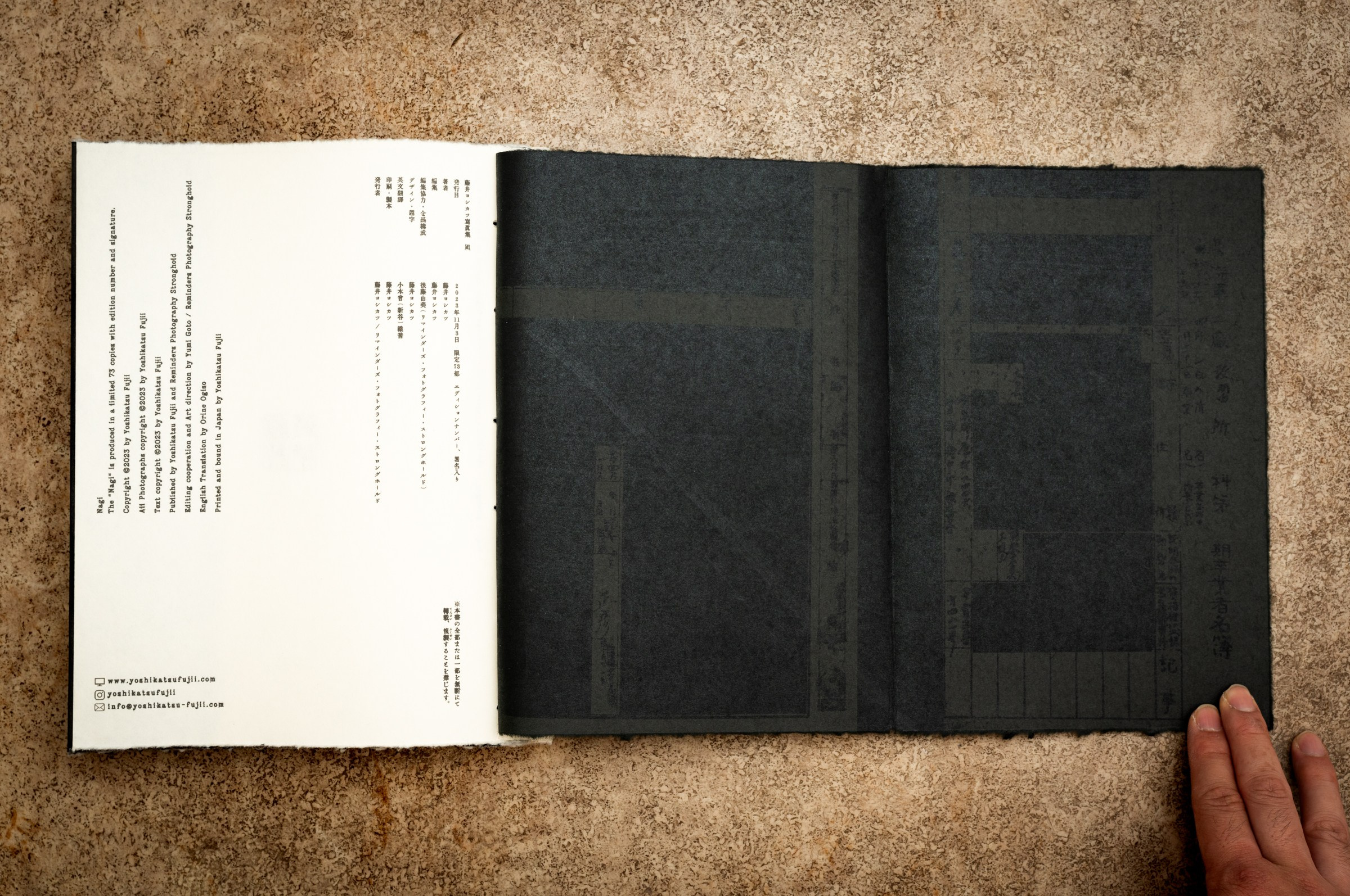 INTERVIEW WITH THE ARTIST: YOSHIKATSU FUJII. Самоорганизация Низина