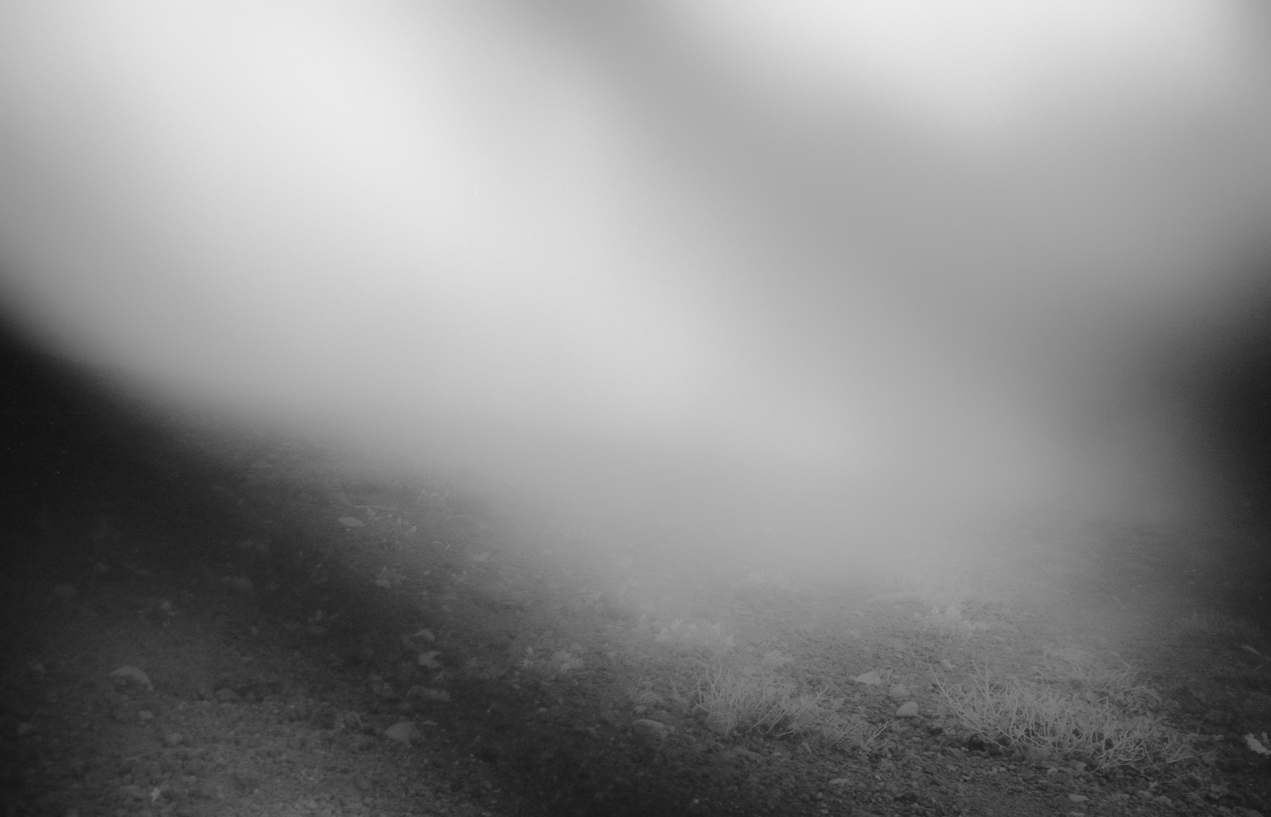 INTERVIEW WITH THE ARTIST: YOSHIKATSU FUJII. Самоорганизация Низина