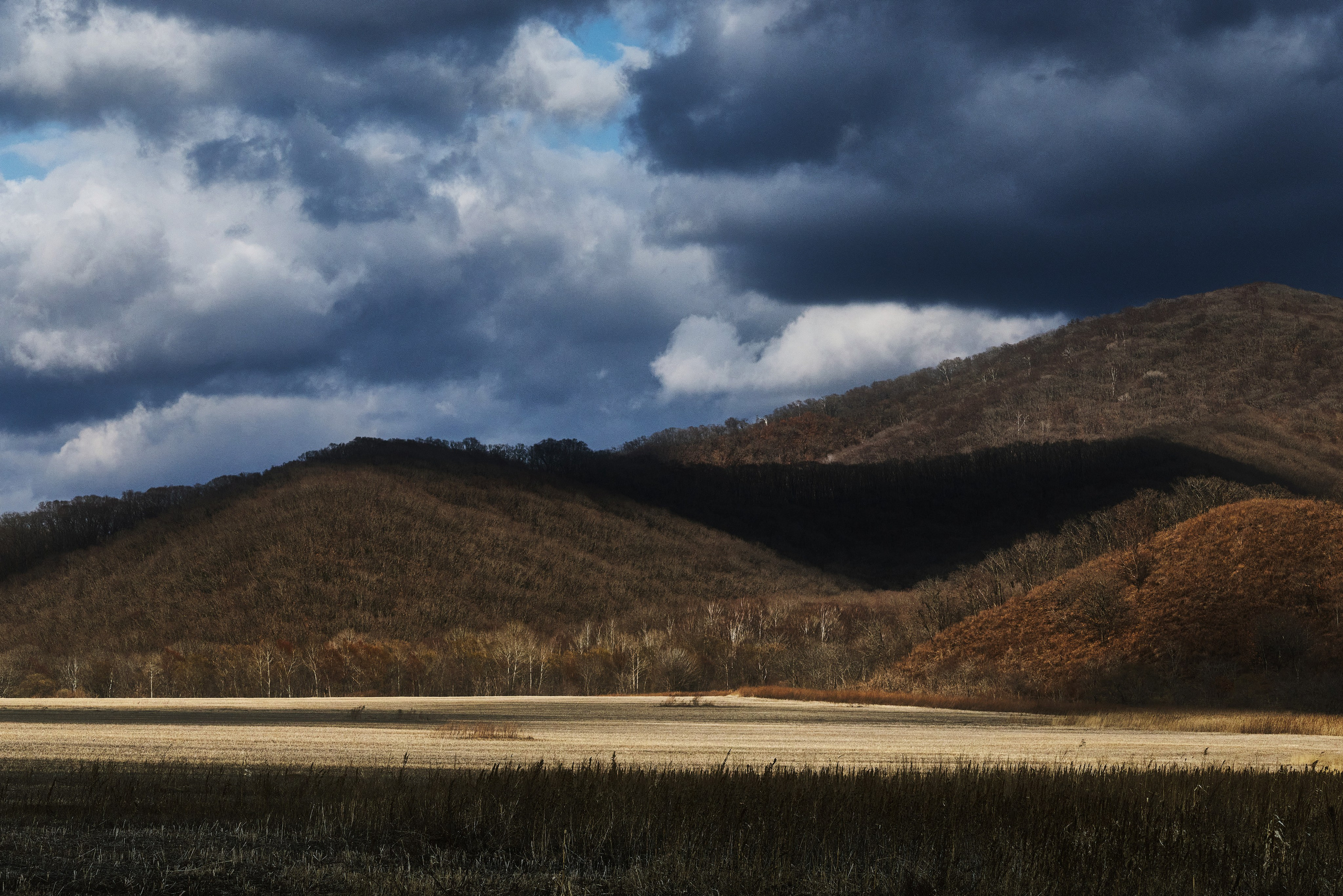 Сопки и мрачные весенние облака - пейзадное фото в Партизанском муниципальном округе, 2026 год