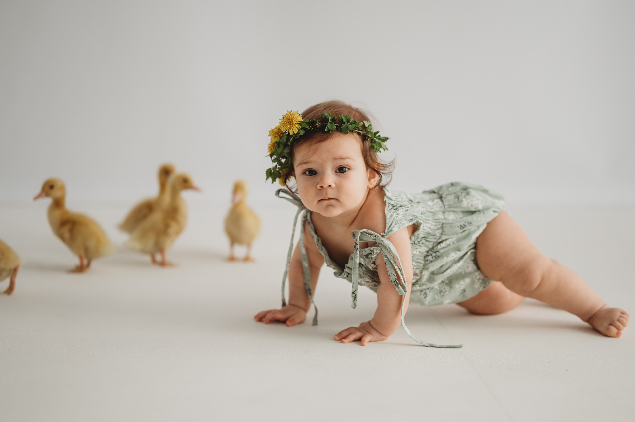 Оливия и утята. Детский и семейный фотограф Ирина Гладких