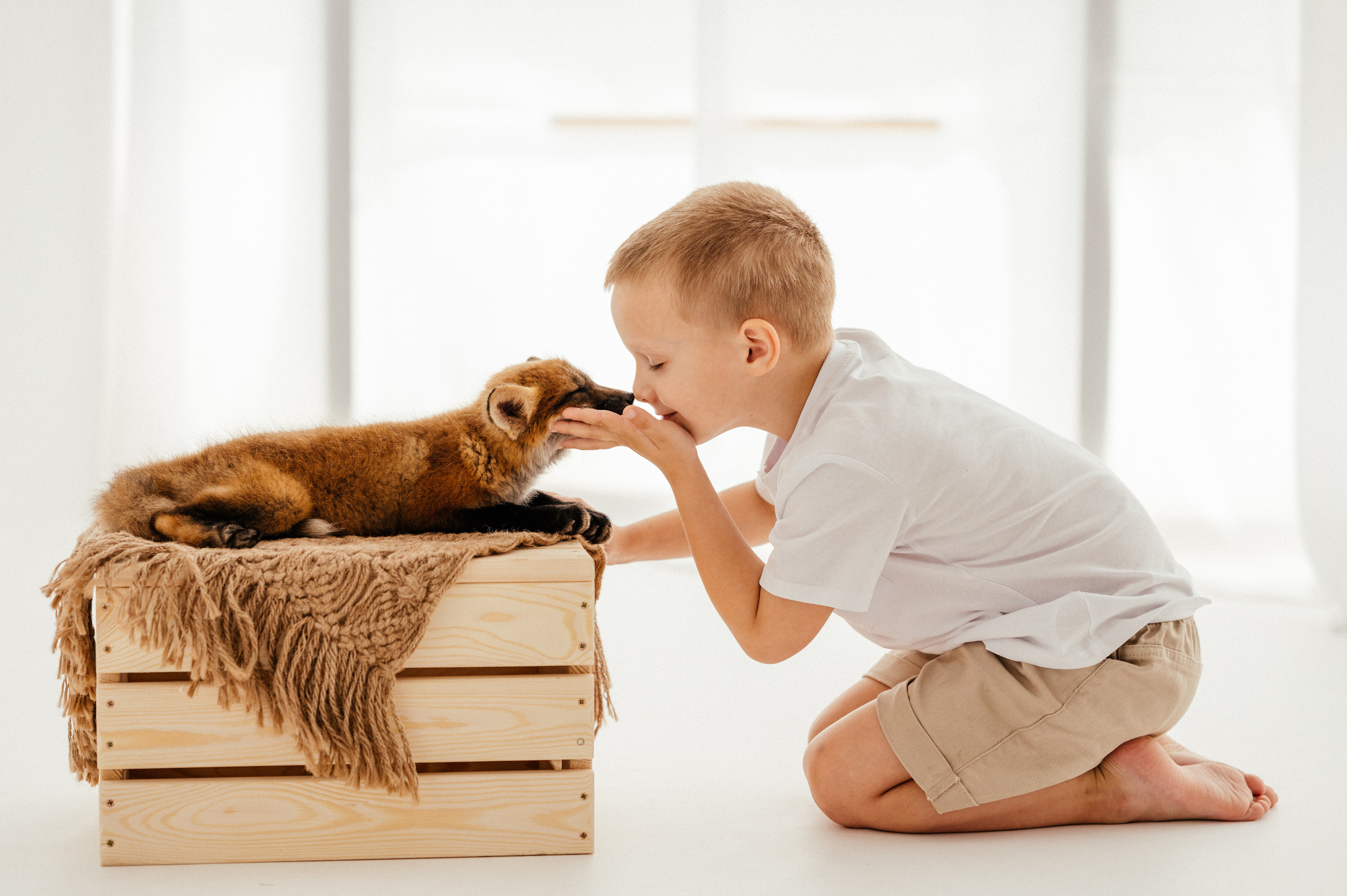 Марк и лисичка. Детский и семейный фотограф Ирина Гладких