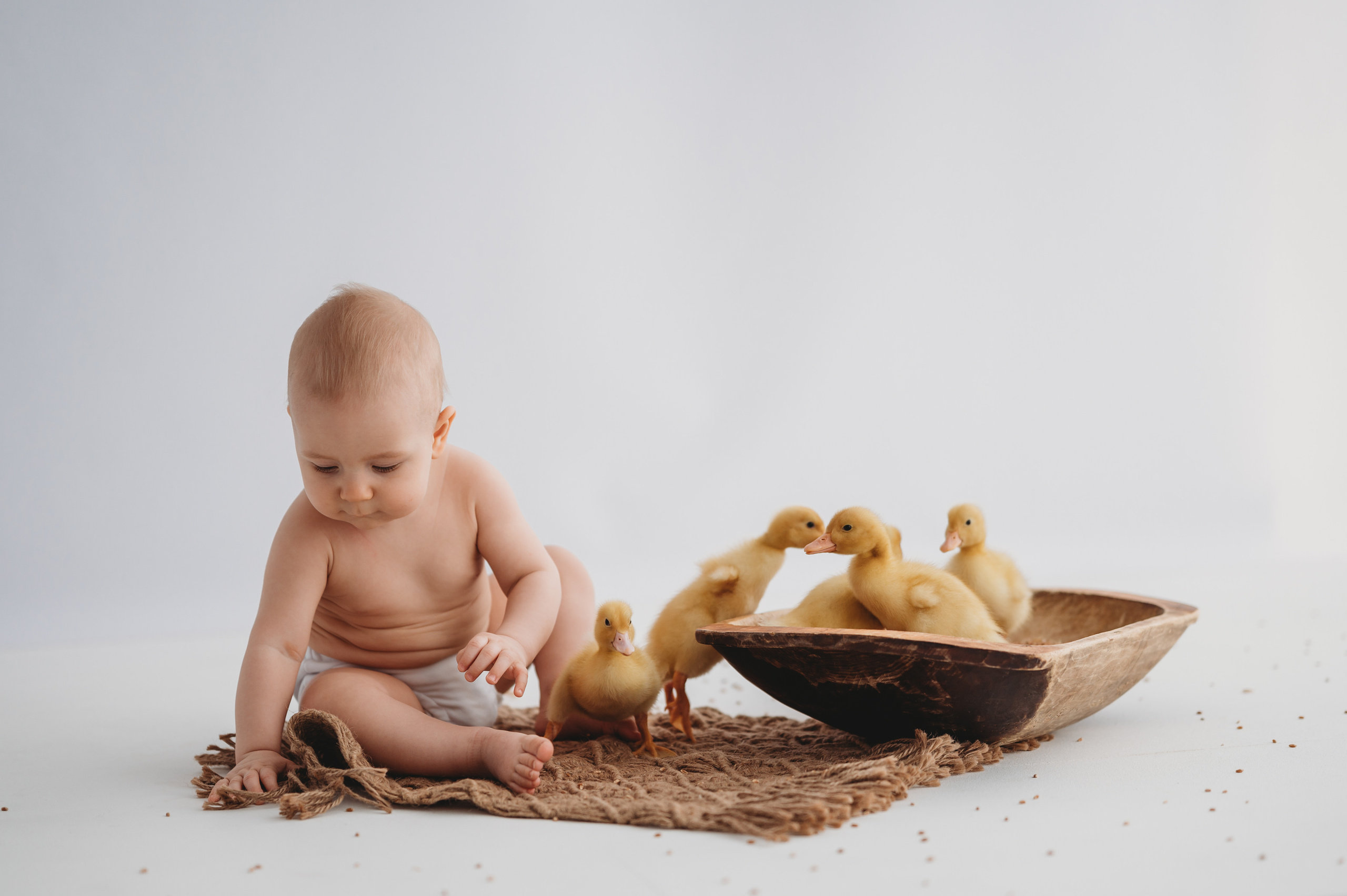 Тимоша и утята. Детский и семейный фотограф Ирина Гладких