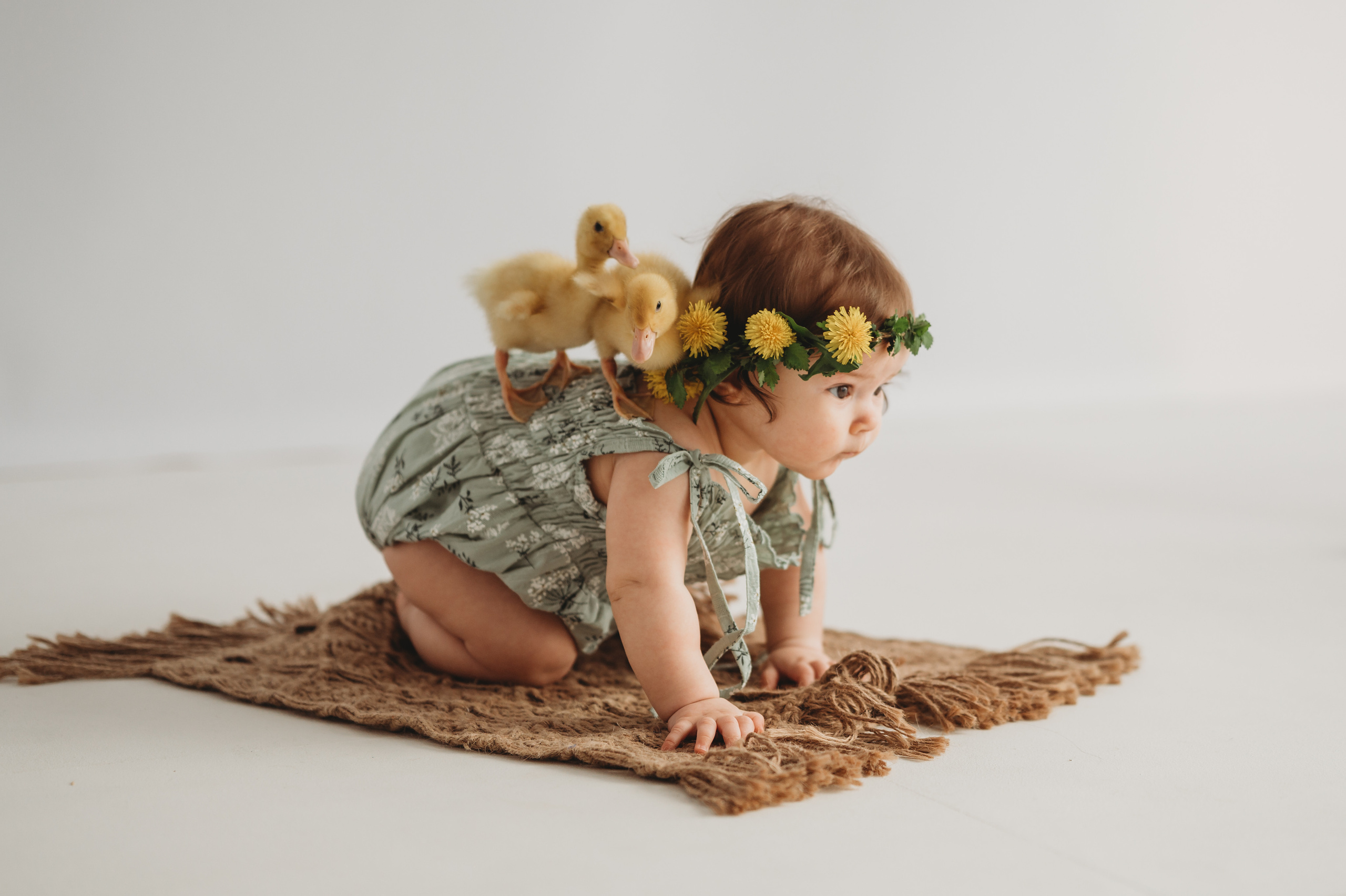 Оливия и утята. Детский и семейный фотограф Ирина Гладких