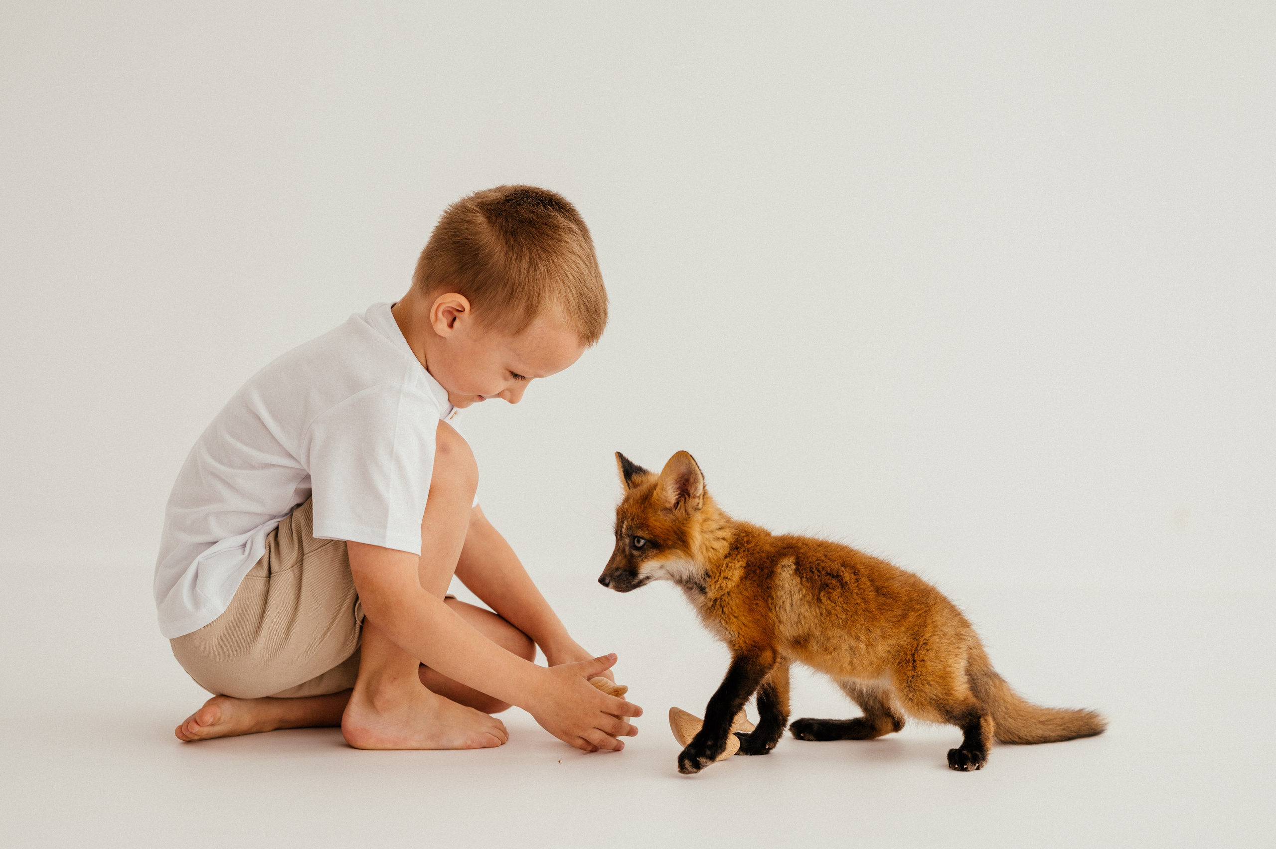 Марк и лисичка. Детский и семейный фотограф Ирина Гладких