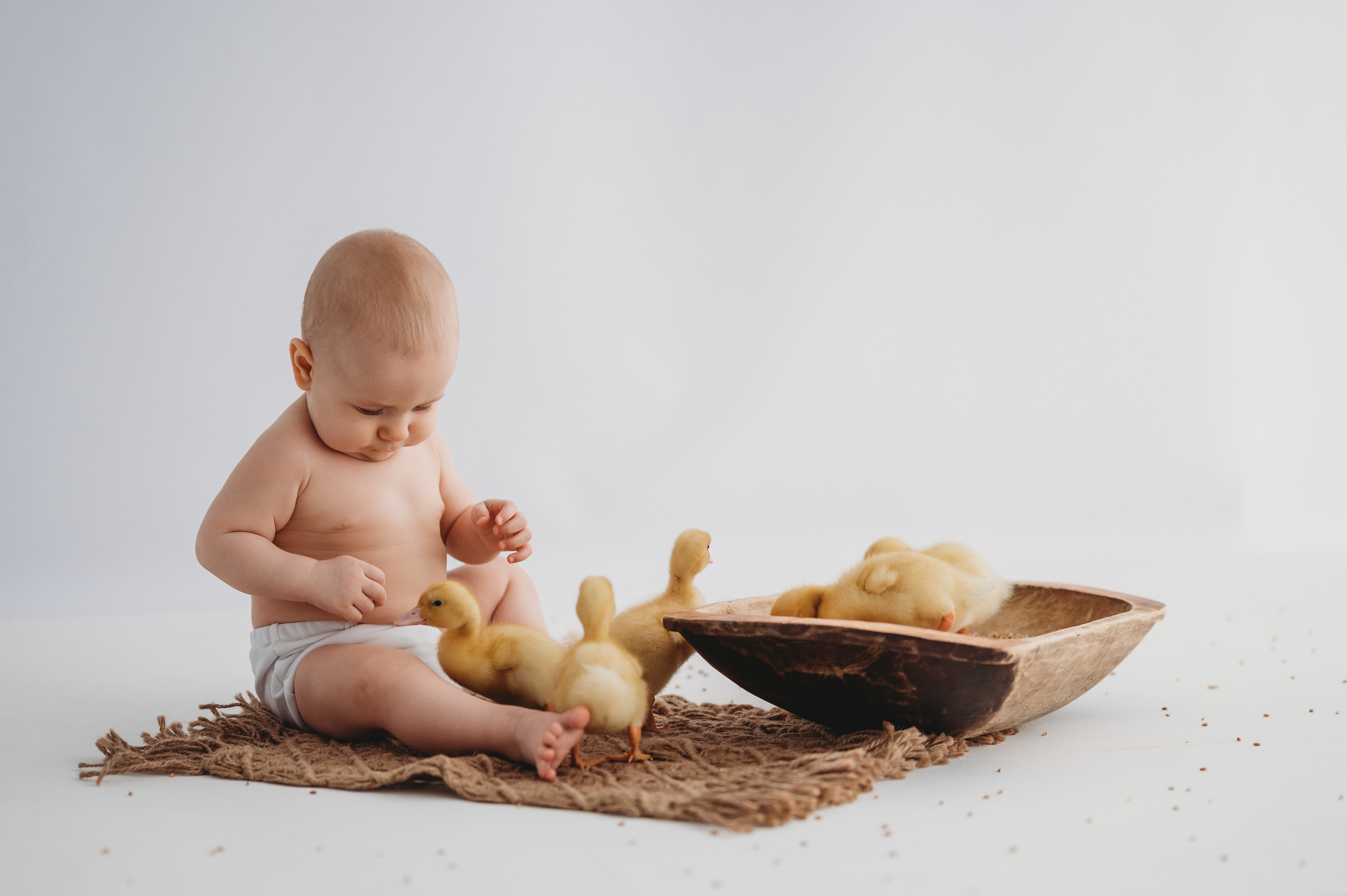 Тимоша и утята. Детский и семейный фотограф Ирина Гладких