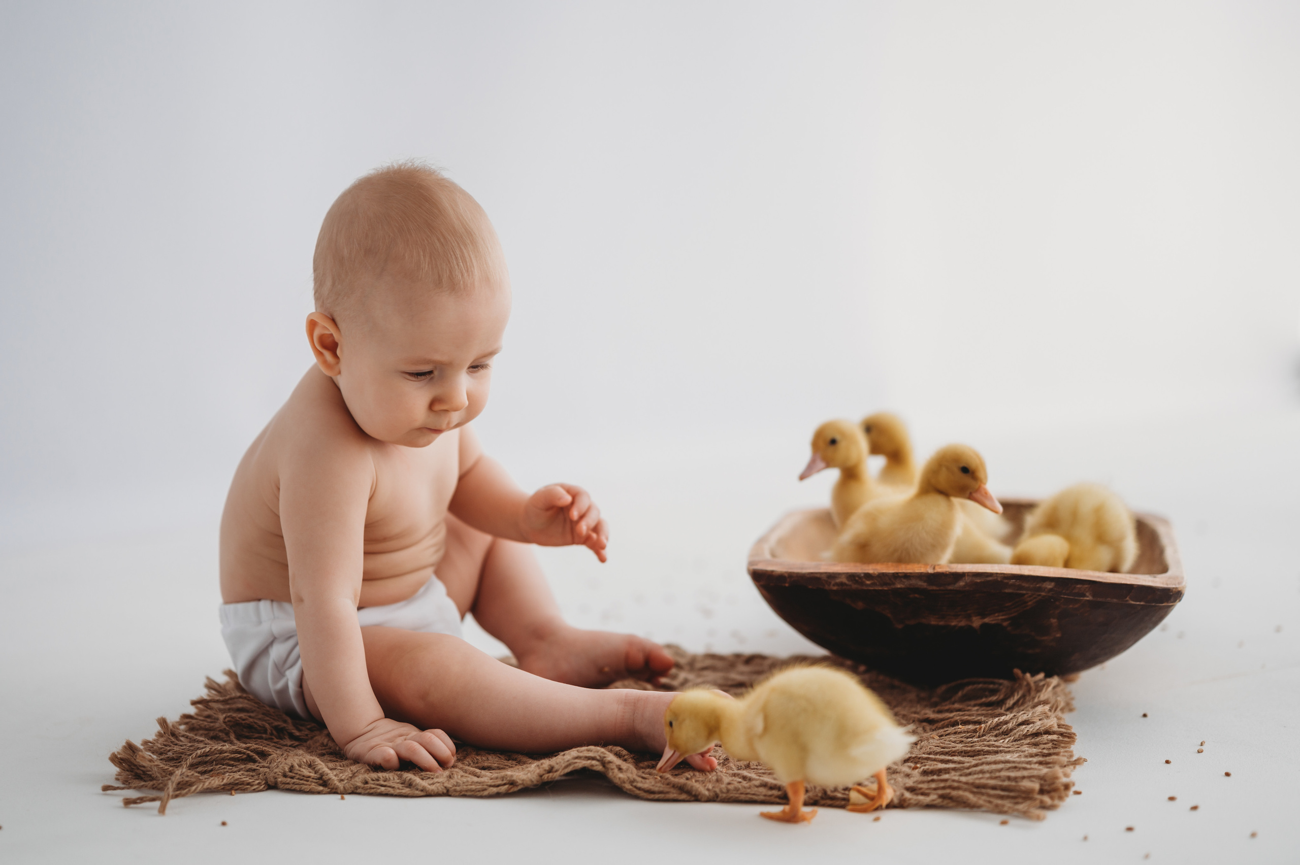 Тимоша и утята. Детский и семейный фотограф Ирина Гладких