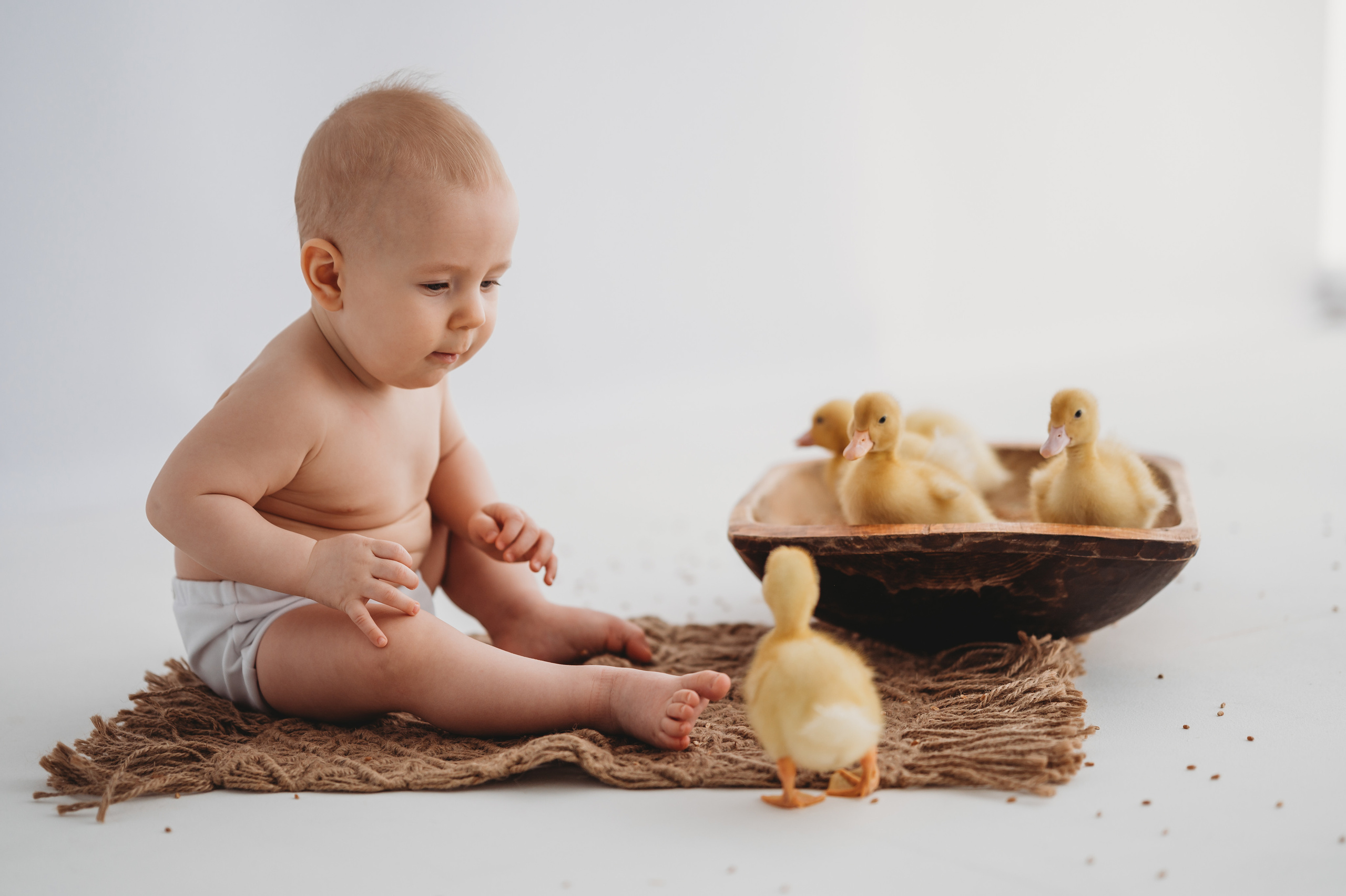 Тимоша и утята. Детский и семейный фотограф Ирина Гладких