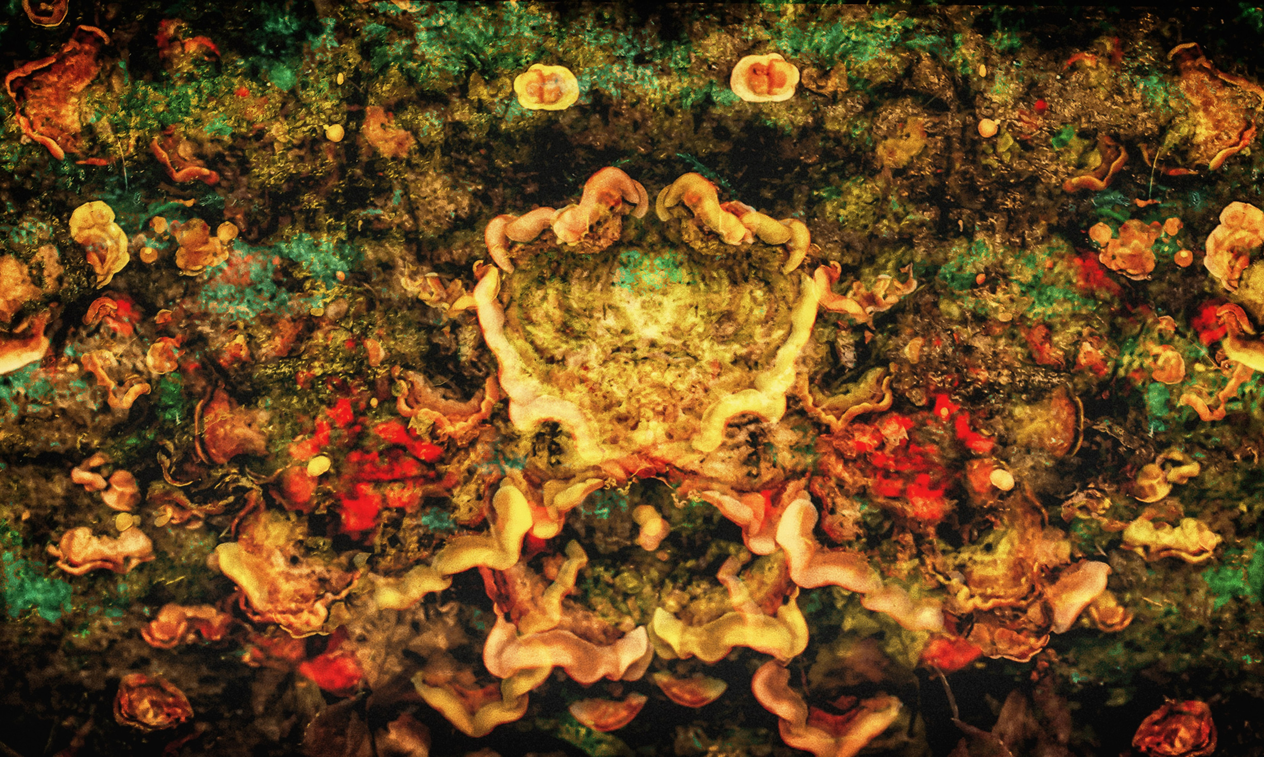 Творчество. Фотограф в Сочи Елена Лисотина. Фототуры в Сочи