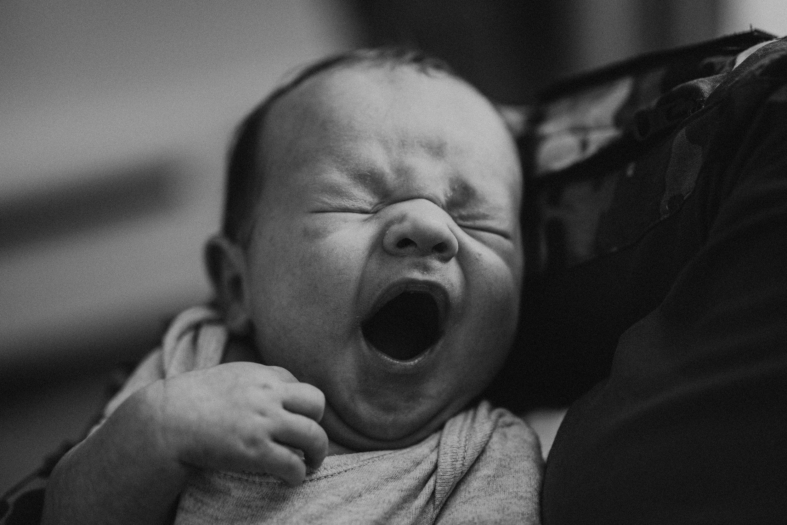 семейная фотосессия калининград , newborn калининград, домашняя фотосессия калининград, фотограф калининград, фотосессия с животными калининград