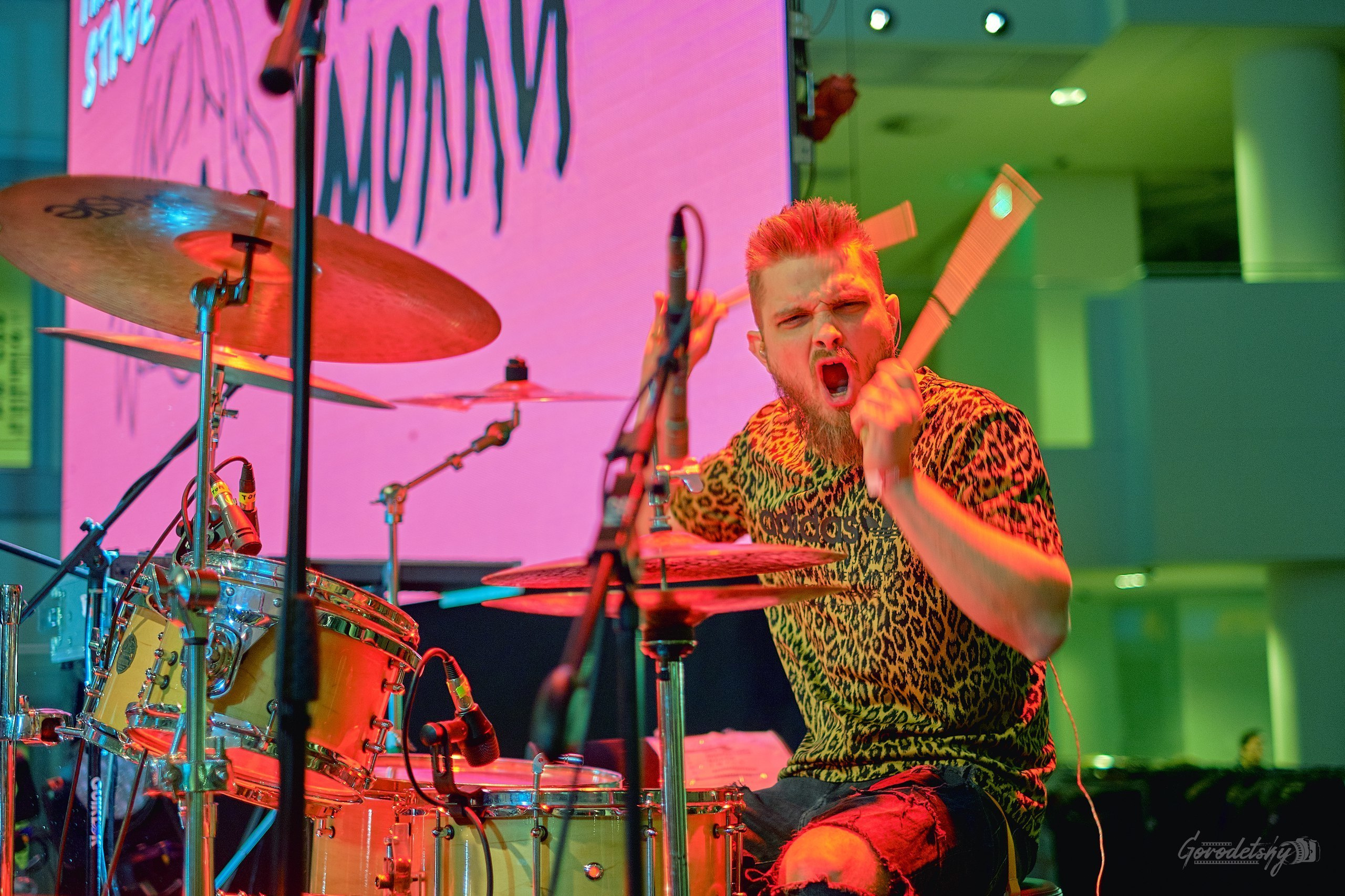 Пошлая Молли, фото с концерта. Фотограф в Екатеринбурге Юра Сахар. Профессиональный фотограф в Екатеринбурге Юра Сахар