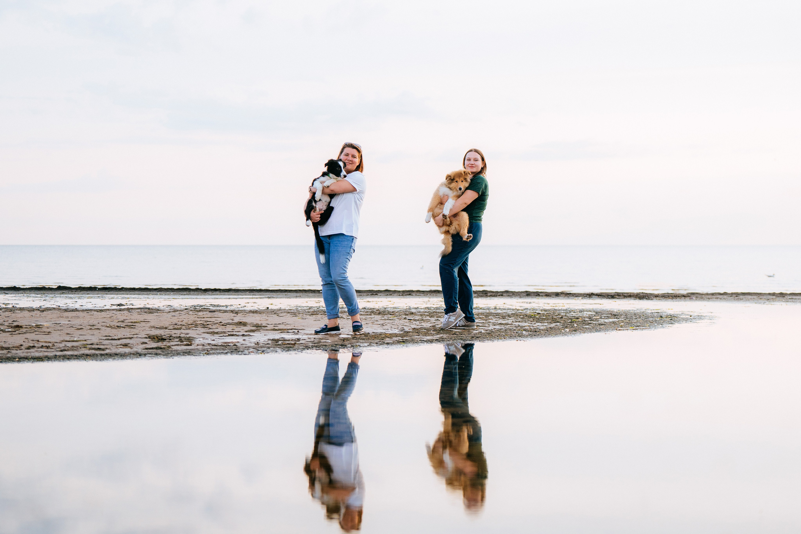 Фотосессия со щенками колли. Фотограф анималист в Спб недорого Олеся Майорова