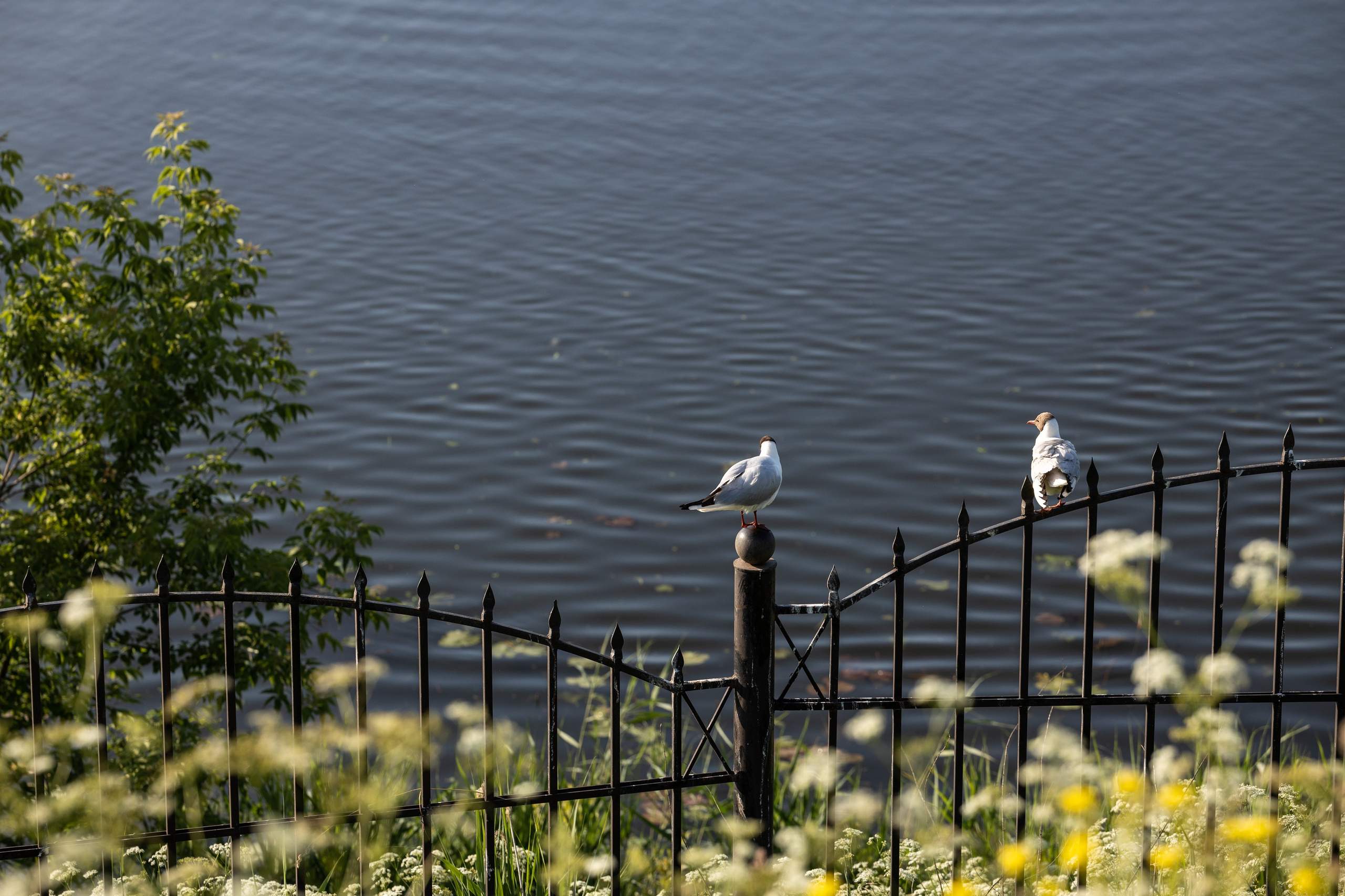 Путешествие по Суздалю. Портретный фотограф в Костроме Наталия Клевинскас