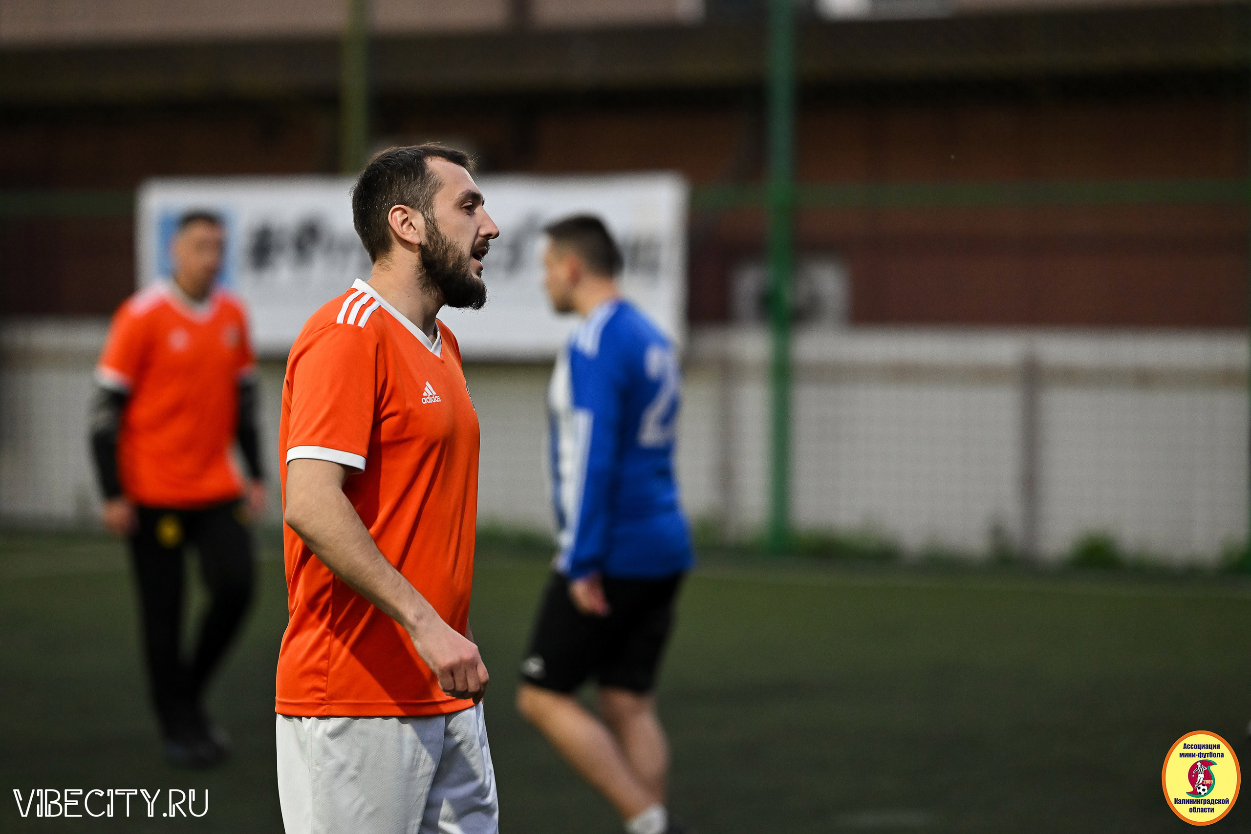 ИГРЫ МИНИ-ФУТБОЛЬНОЙ ЛИГИ. VIBECITY.RU Вайб Сити Ру Фоторепортажи Фотоотчеты Калининград