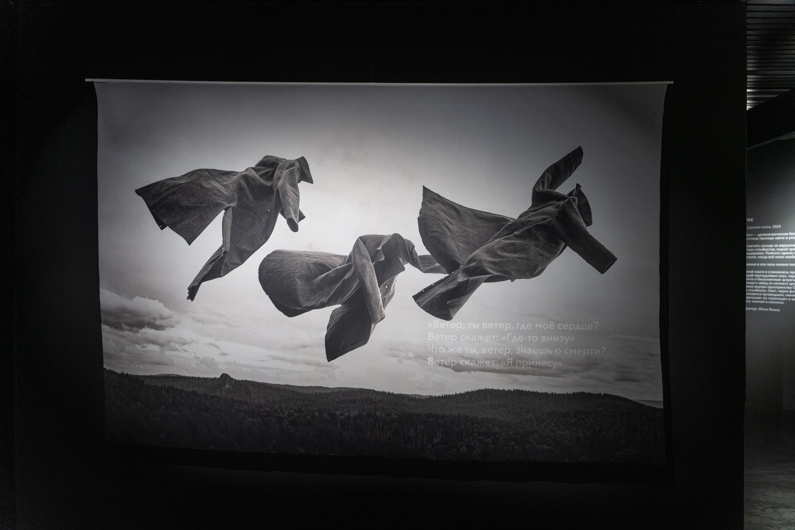 Пристанище. Элина Гусарова