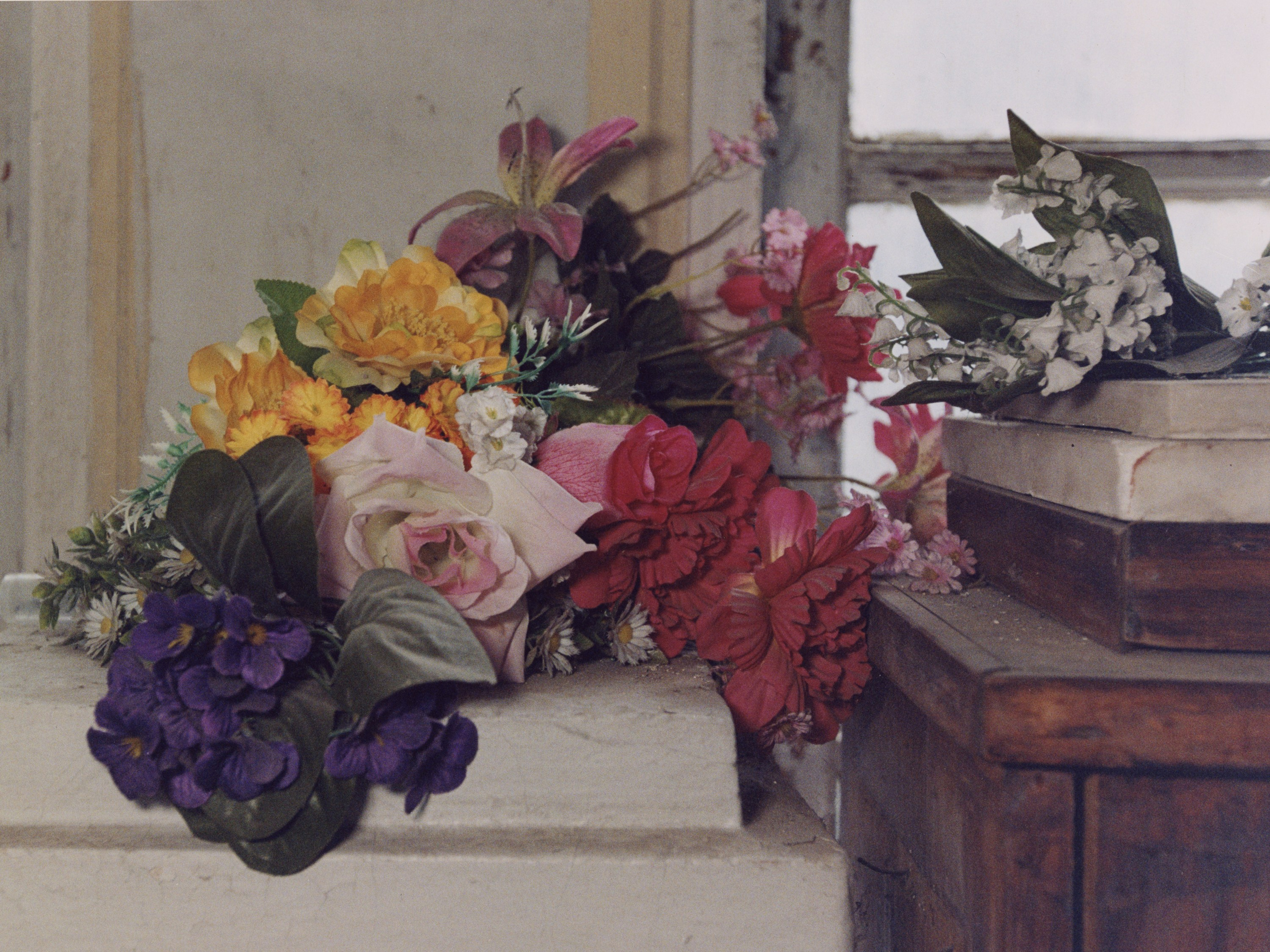 STILL LIFE. Photographer Olya Pegova