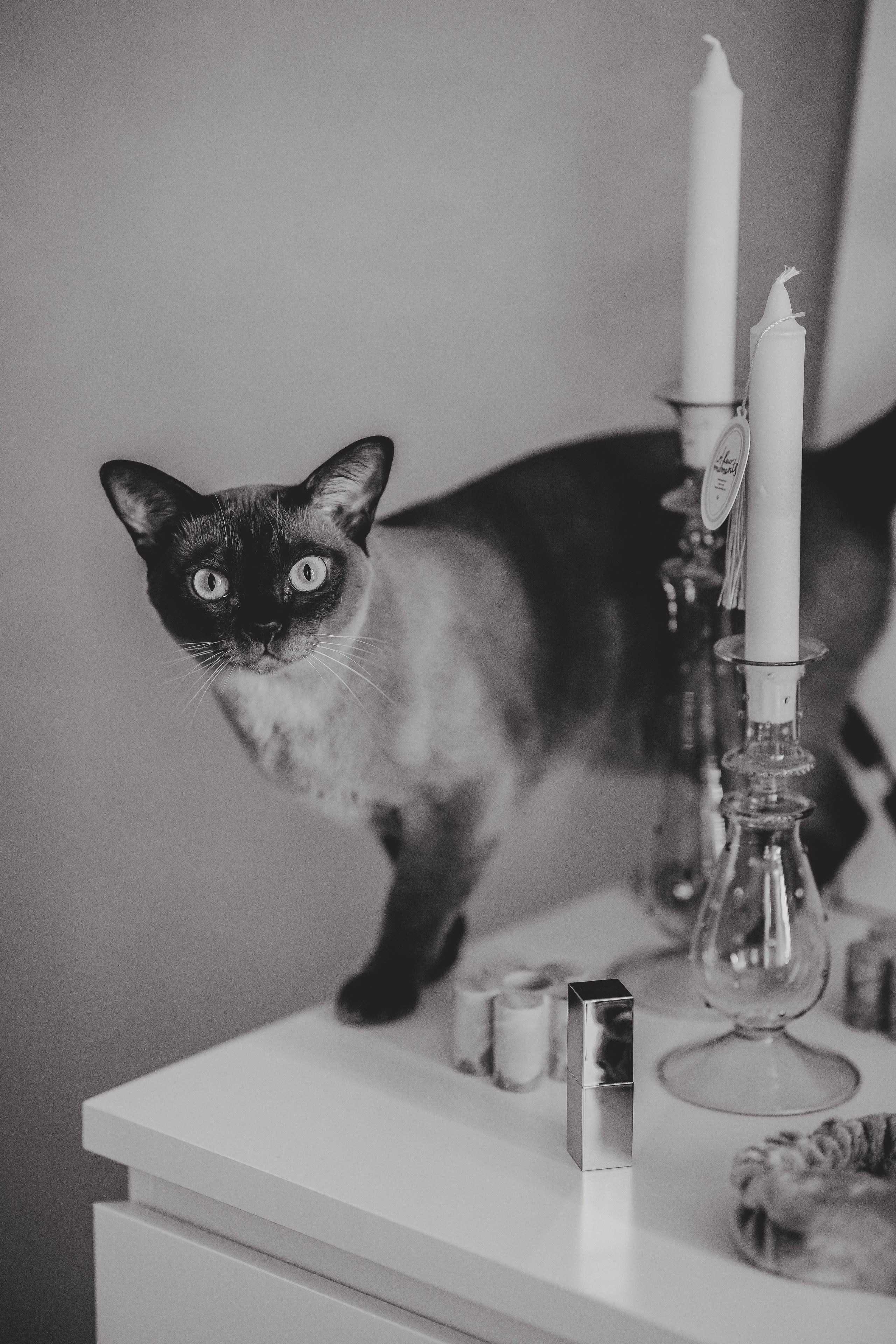 Домашняя фотосессия. Семейный lifestyle фотограф в Санкт-Петербурге Людмила Пахомова