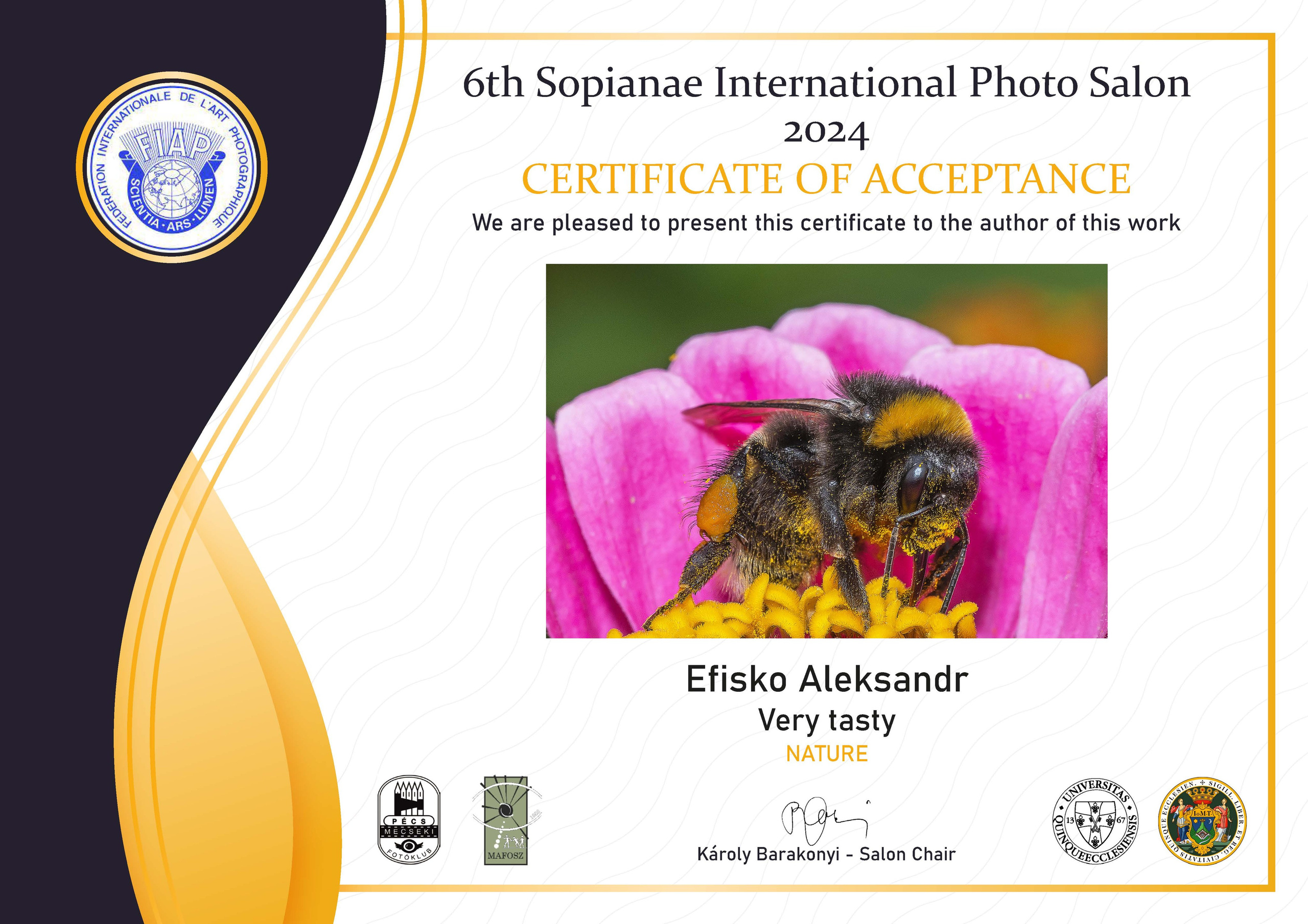 Обо мне. Фотограф, портреты, фотосессии, модельные тесты, актерское портфолио