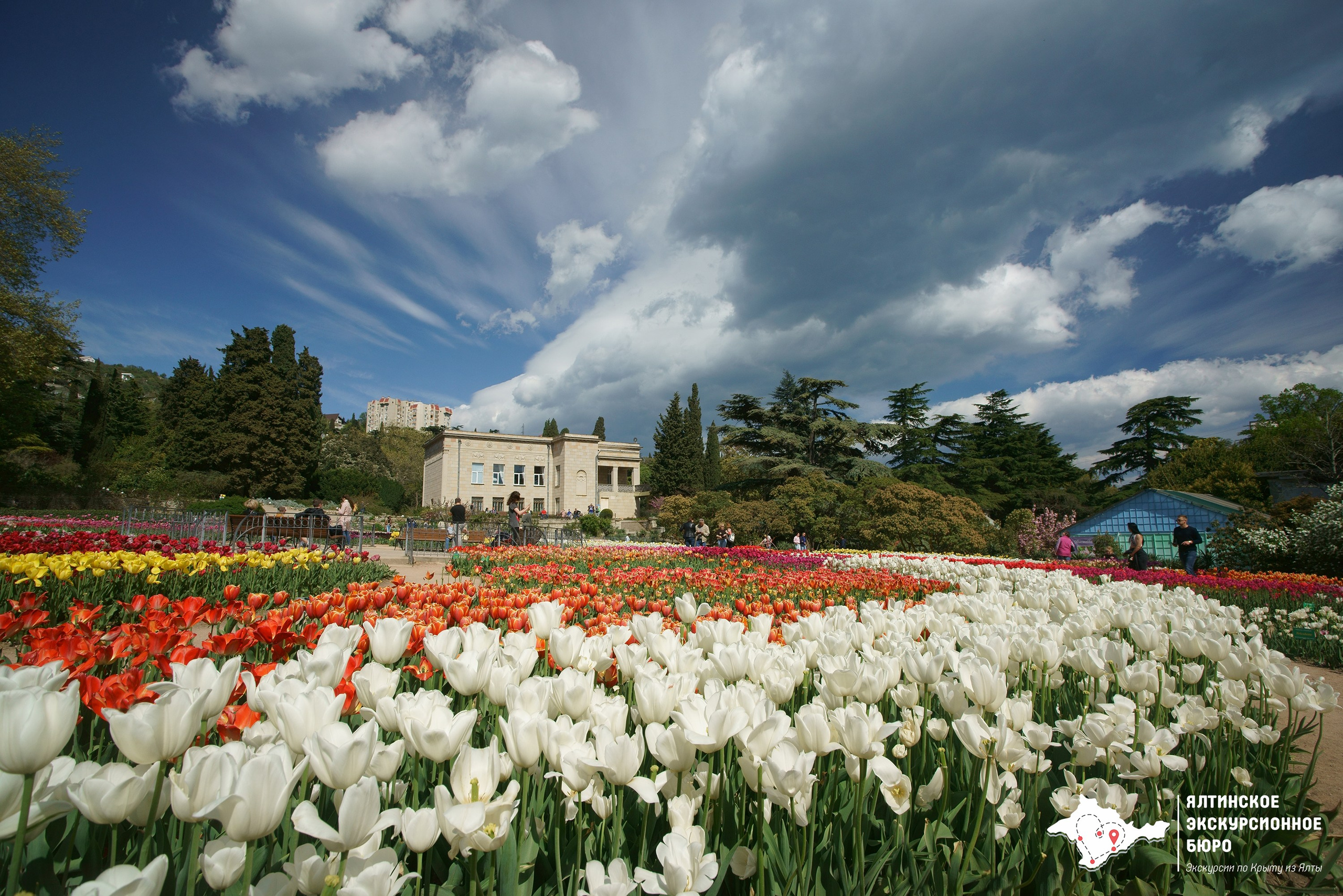 Локации для фотосессии в Ялте. Профессиональная фотосъемка в Крыму. Натуральные эмоции и живые кадры. Забронируйте дату прямо сейчас!