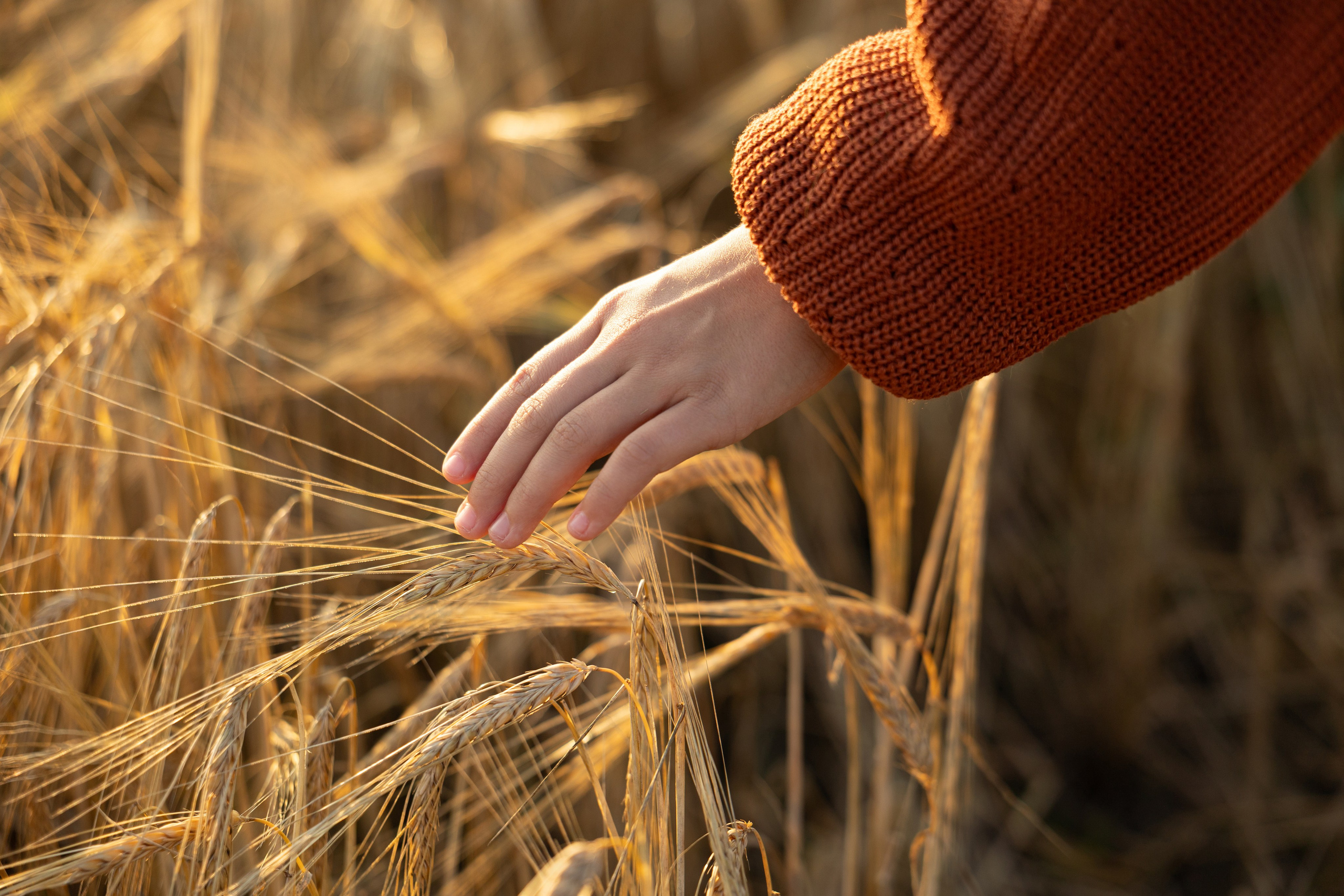 Семейный фотограф Ульяна Вдовкина г. Екатеринбург