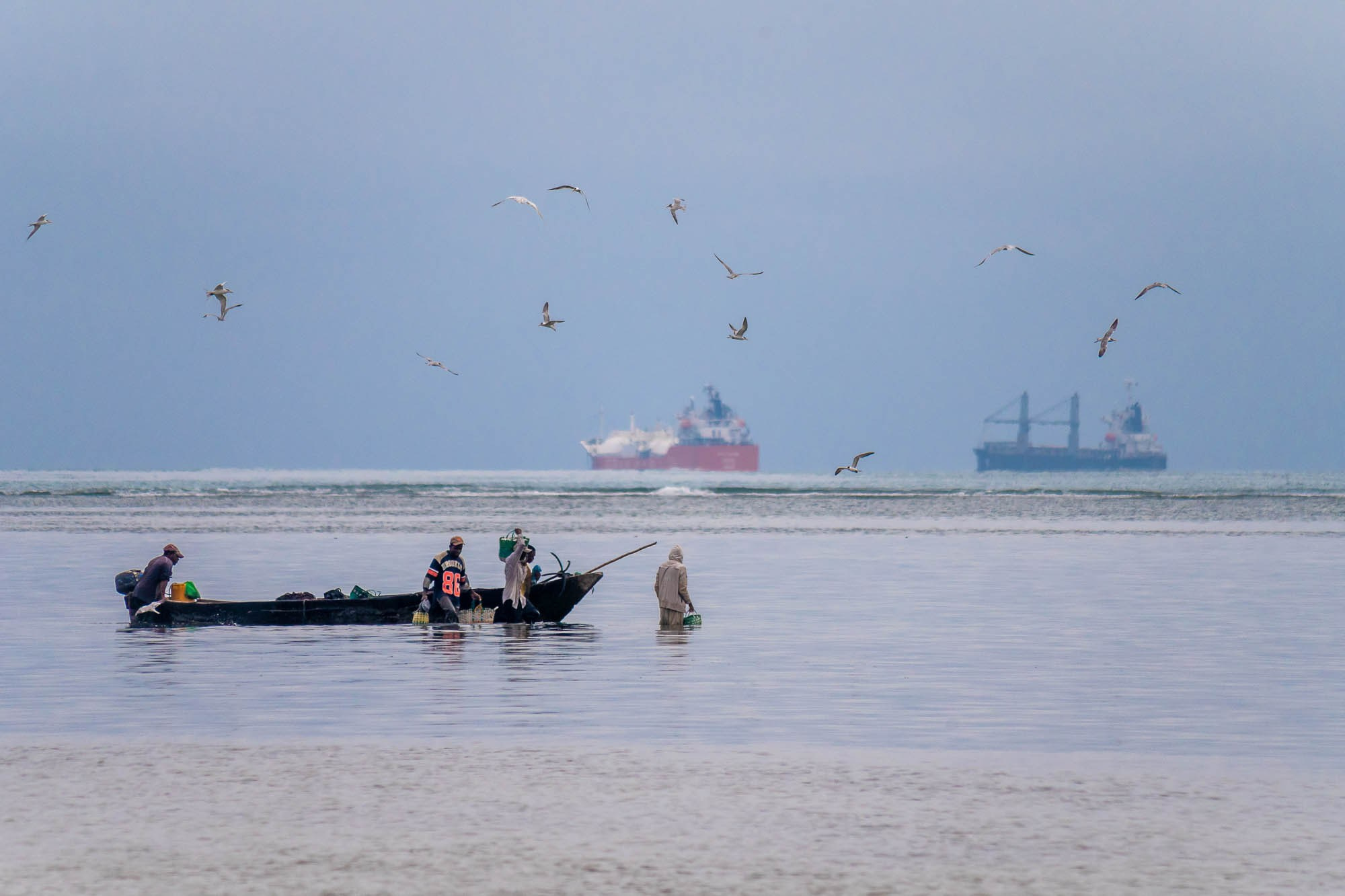 Танзания, Дар эс Салам. Tanzania, Dar es Salaam. Фотограф Алексей Скоробогатько
