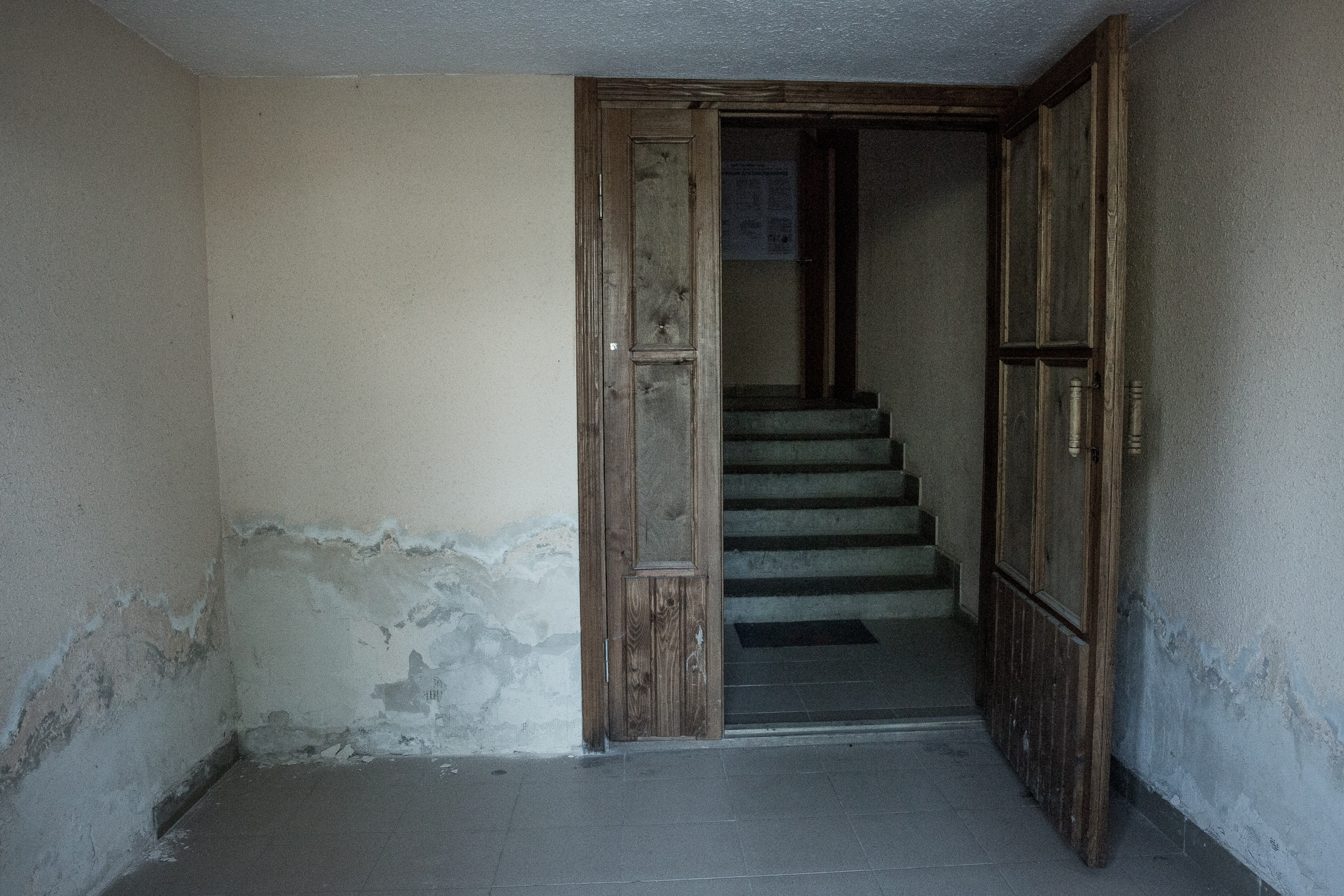 All the walls of the first floor in the apartment and entrances of the new house are covered with mold.