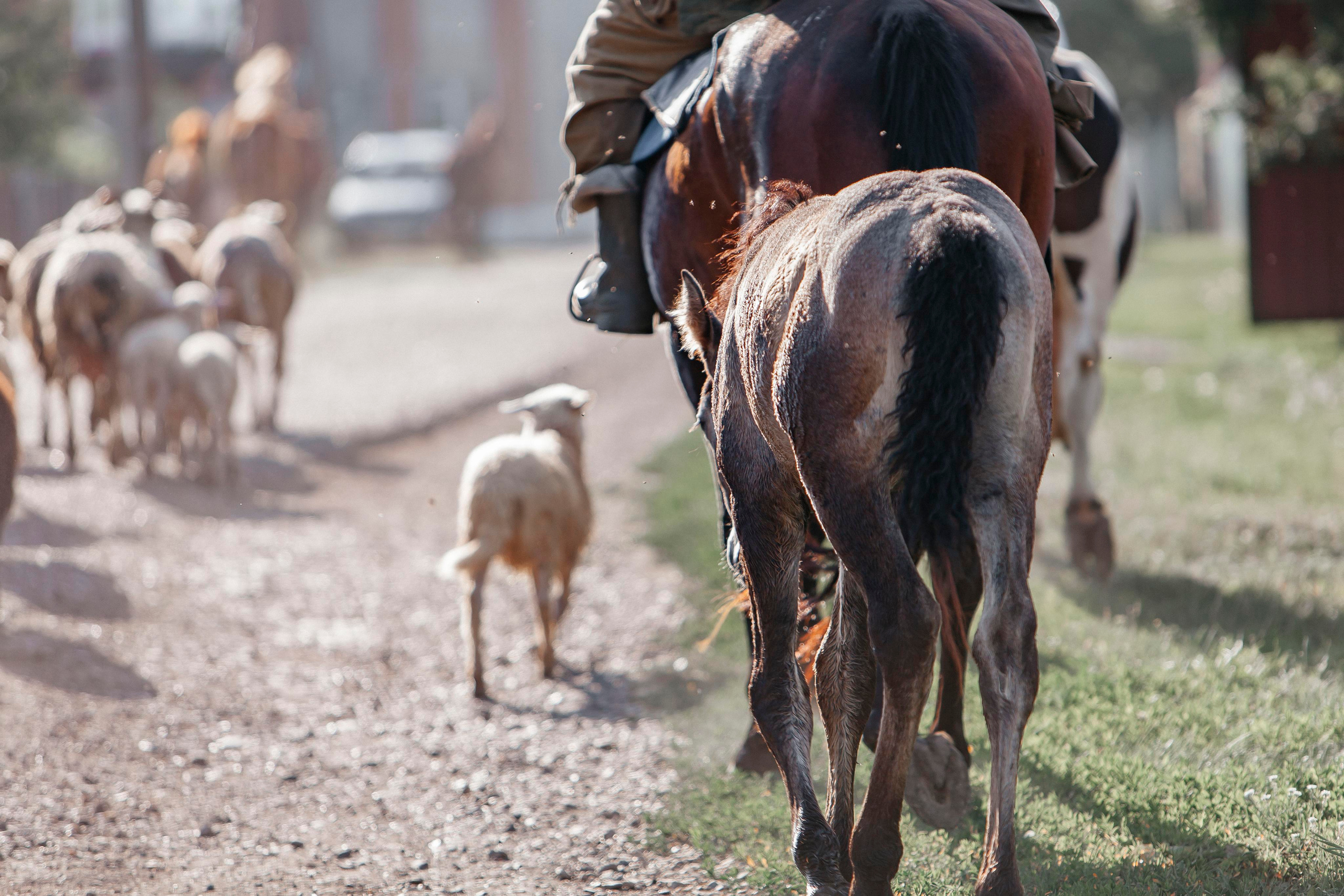 Истории. Репортажный фотограф в Новосибирске