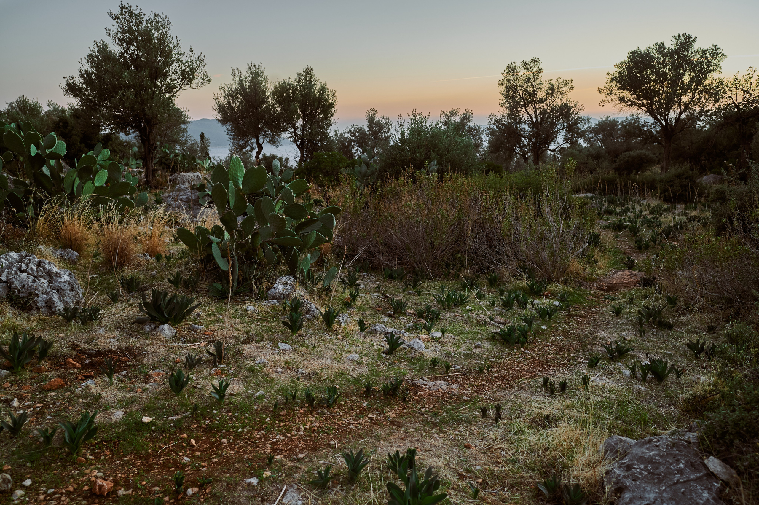 Photographer Yulia Lushnikova, Based in Valencia