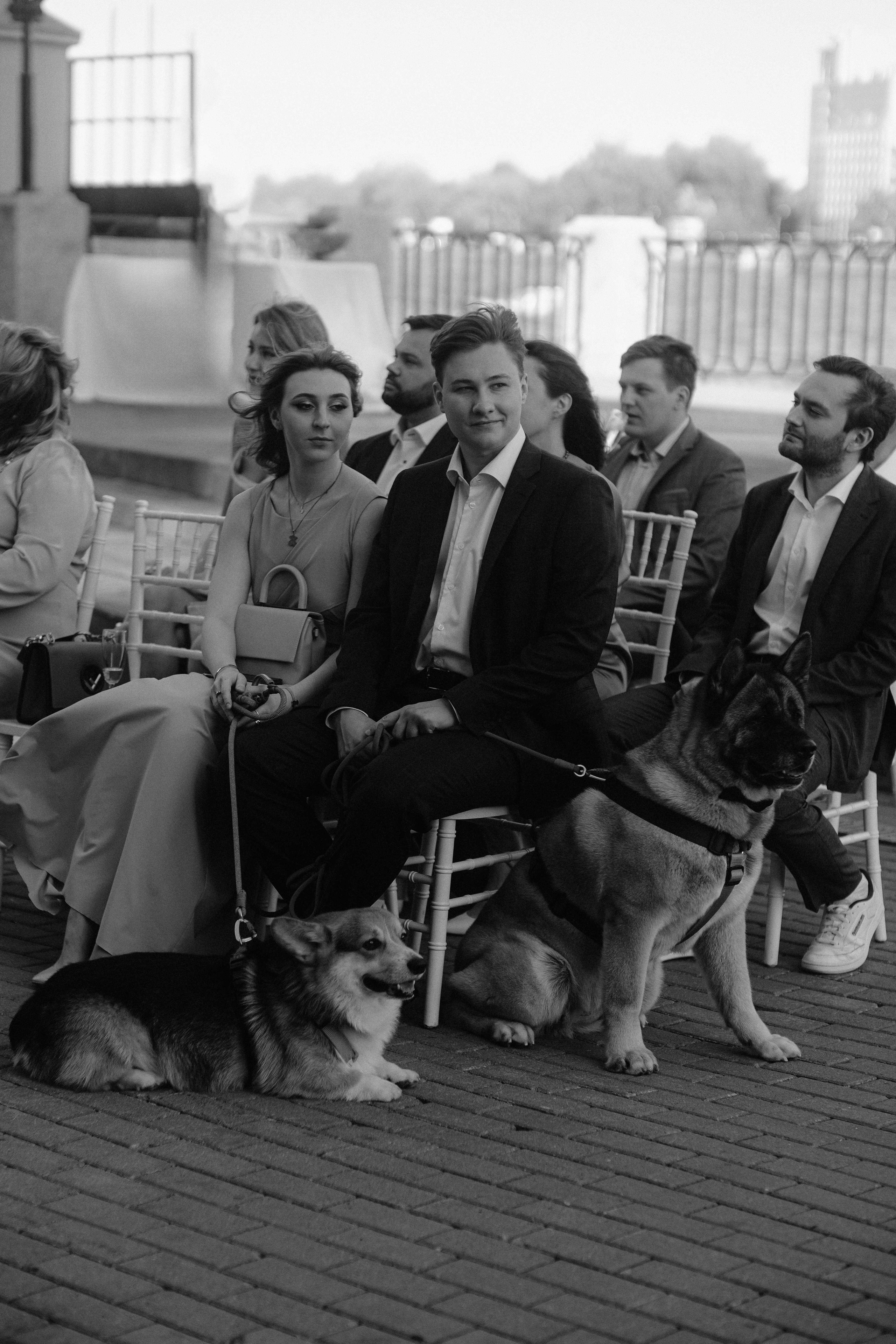 Love&Paws. Сентиментальная свадебная фотография