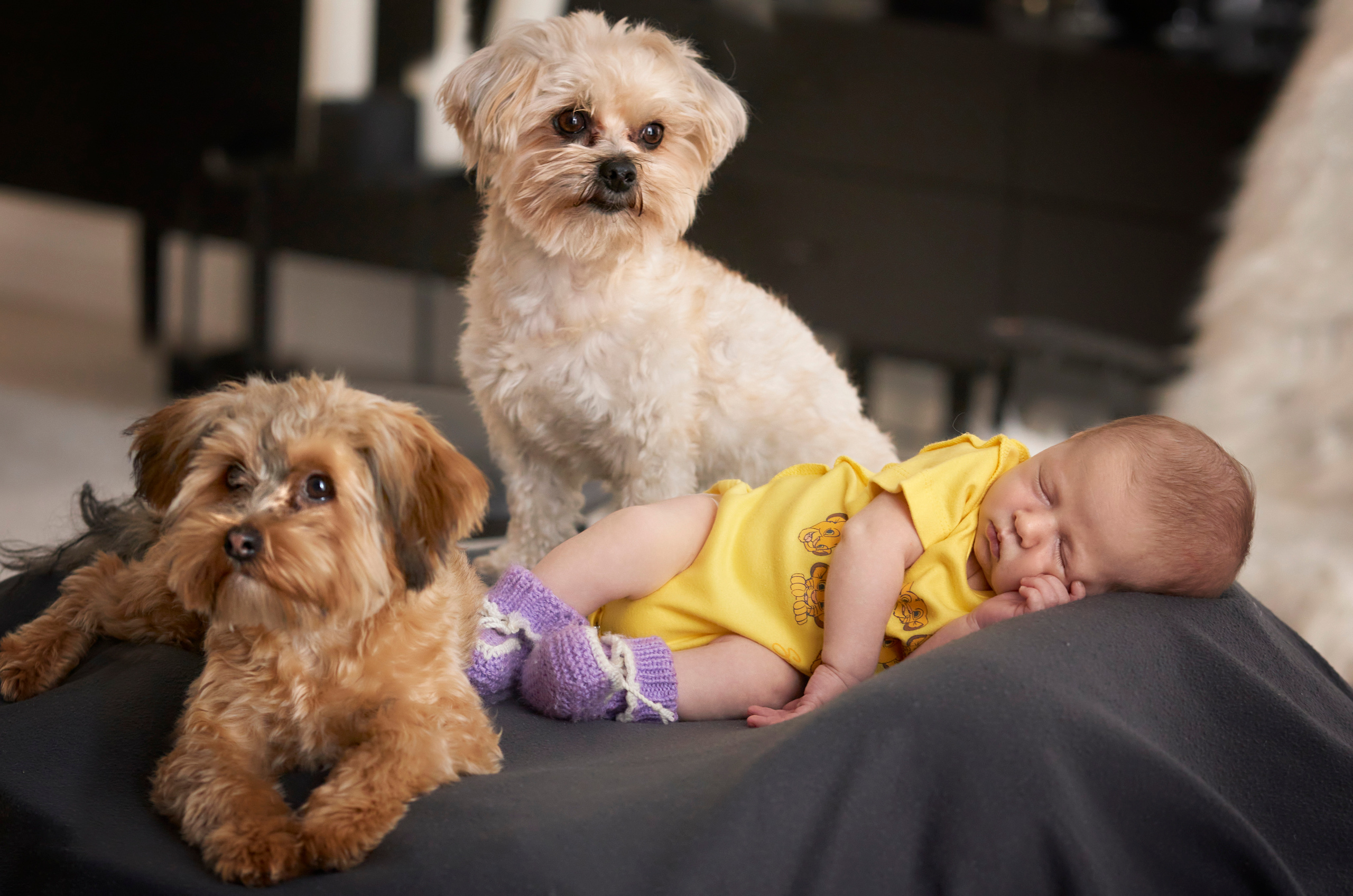 Фотосессия для маленького Мирослава и его большой семьи