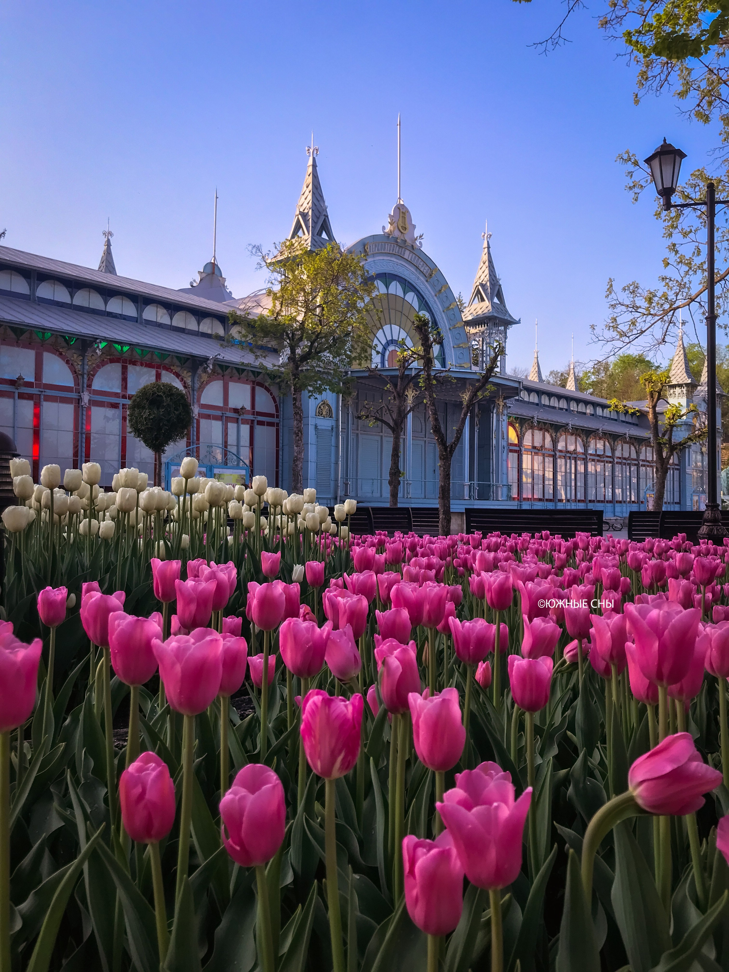 Экскурсия в Пятигорске