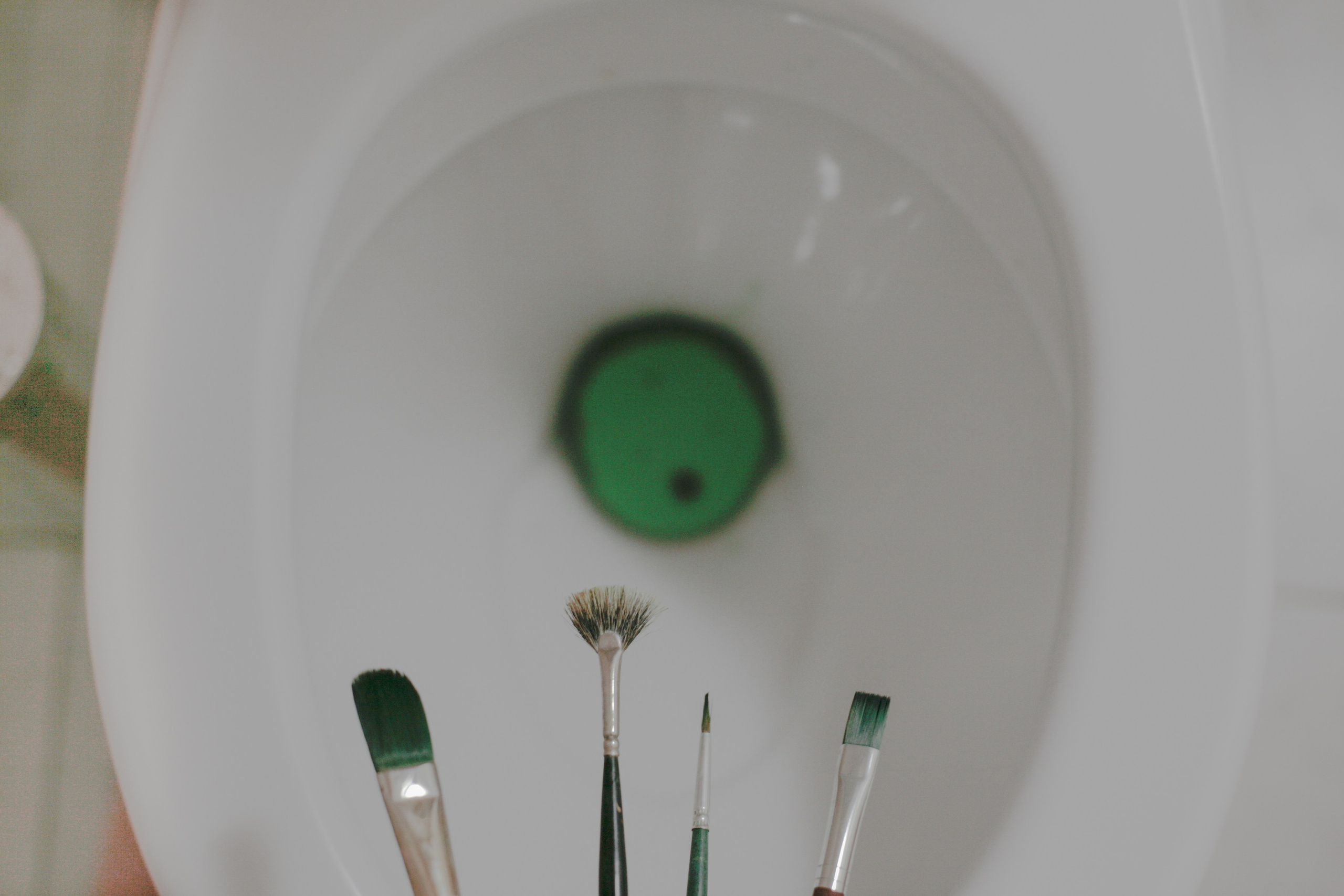 Улицы Люди на улицах Природа Животные — фотограф Оля Волчкова