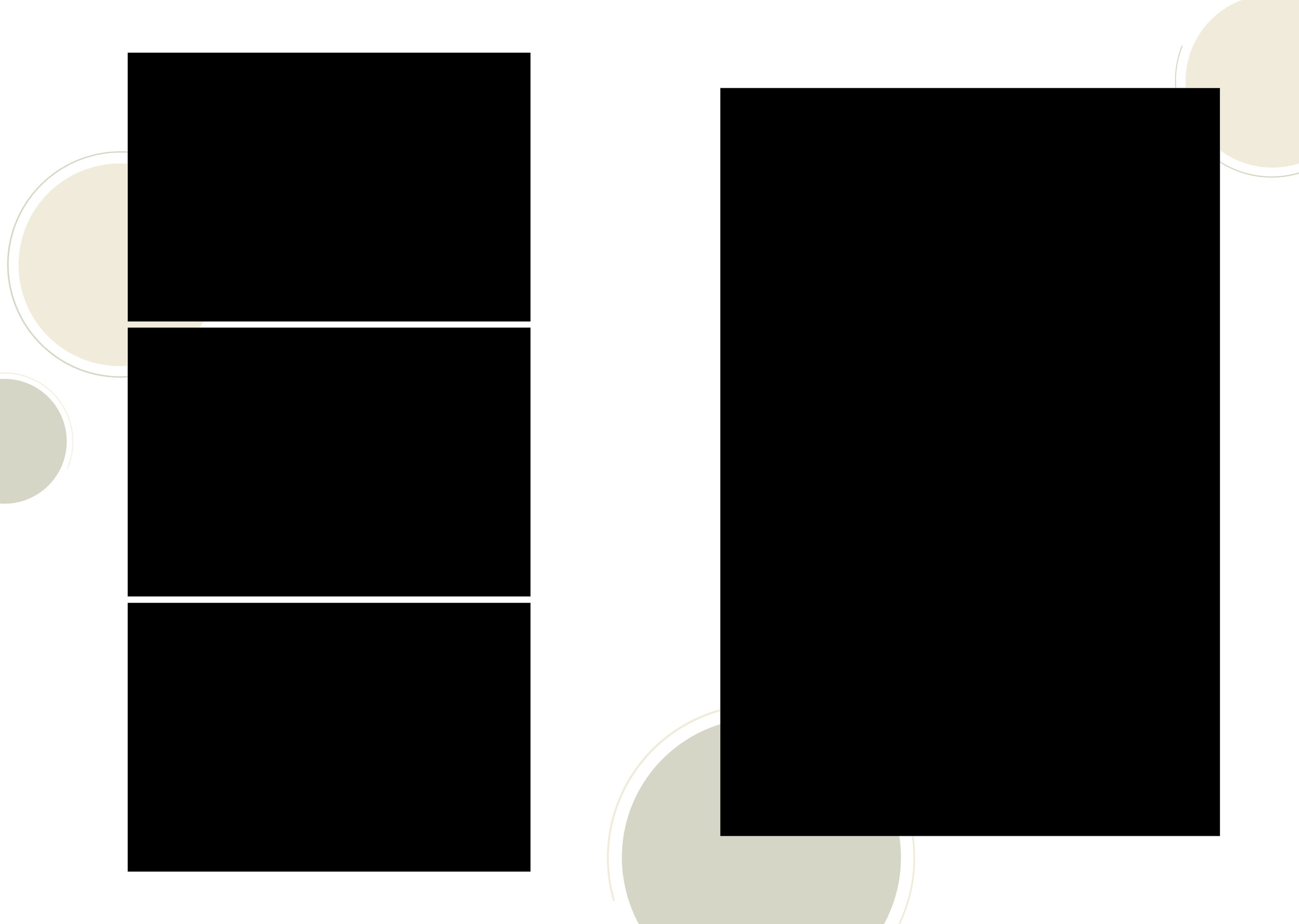 Оливковый. ТВОЙ АЛЬБОМ / ТВОИ ПРАВИЛА