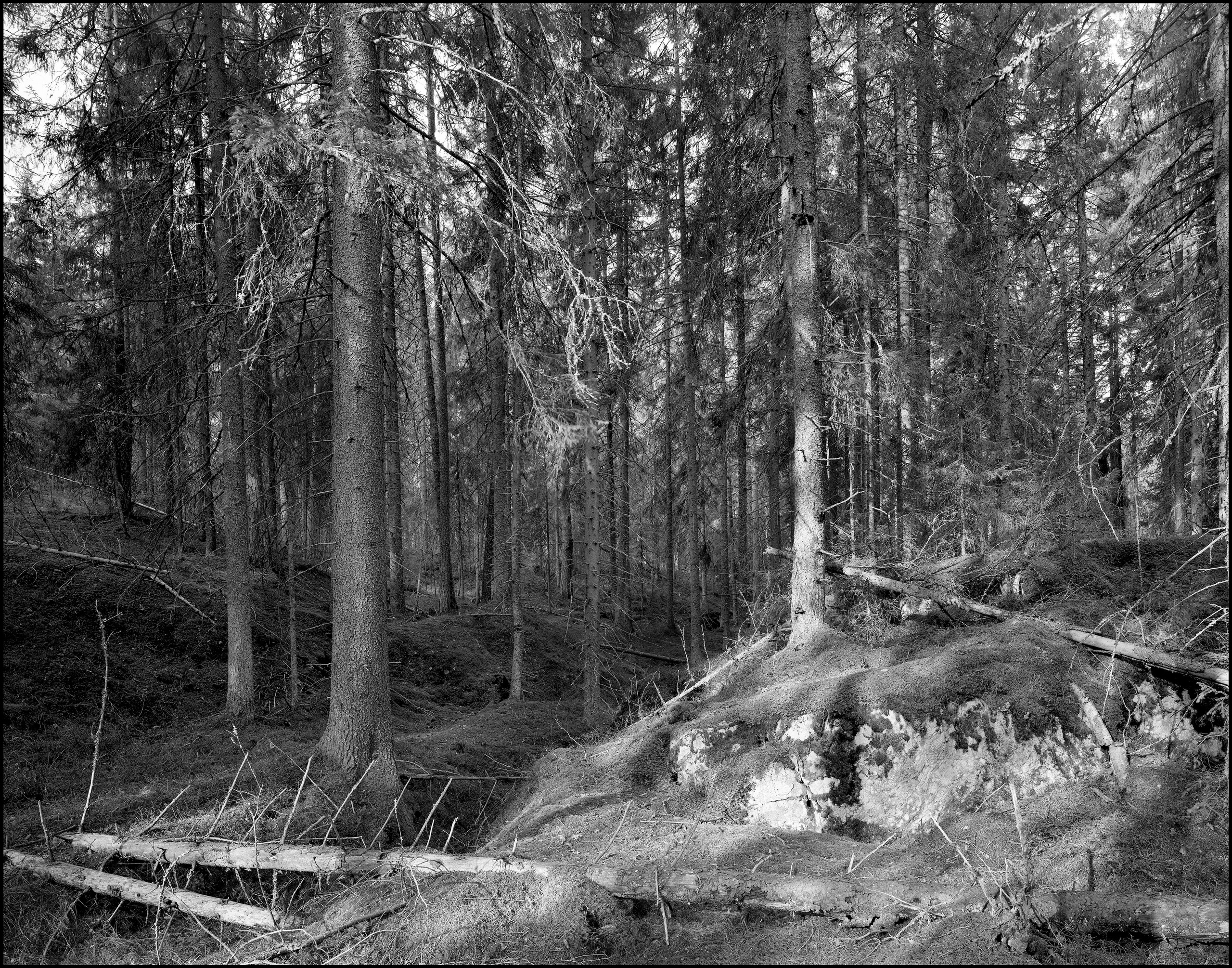 Карелия. Sergey Kondriuk art-photographer | artist