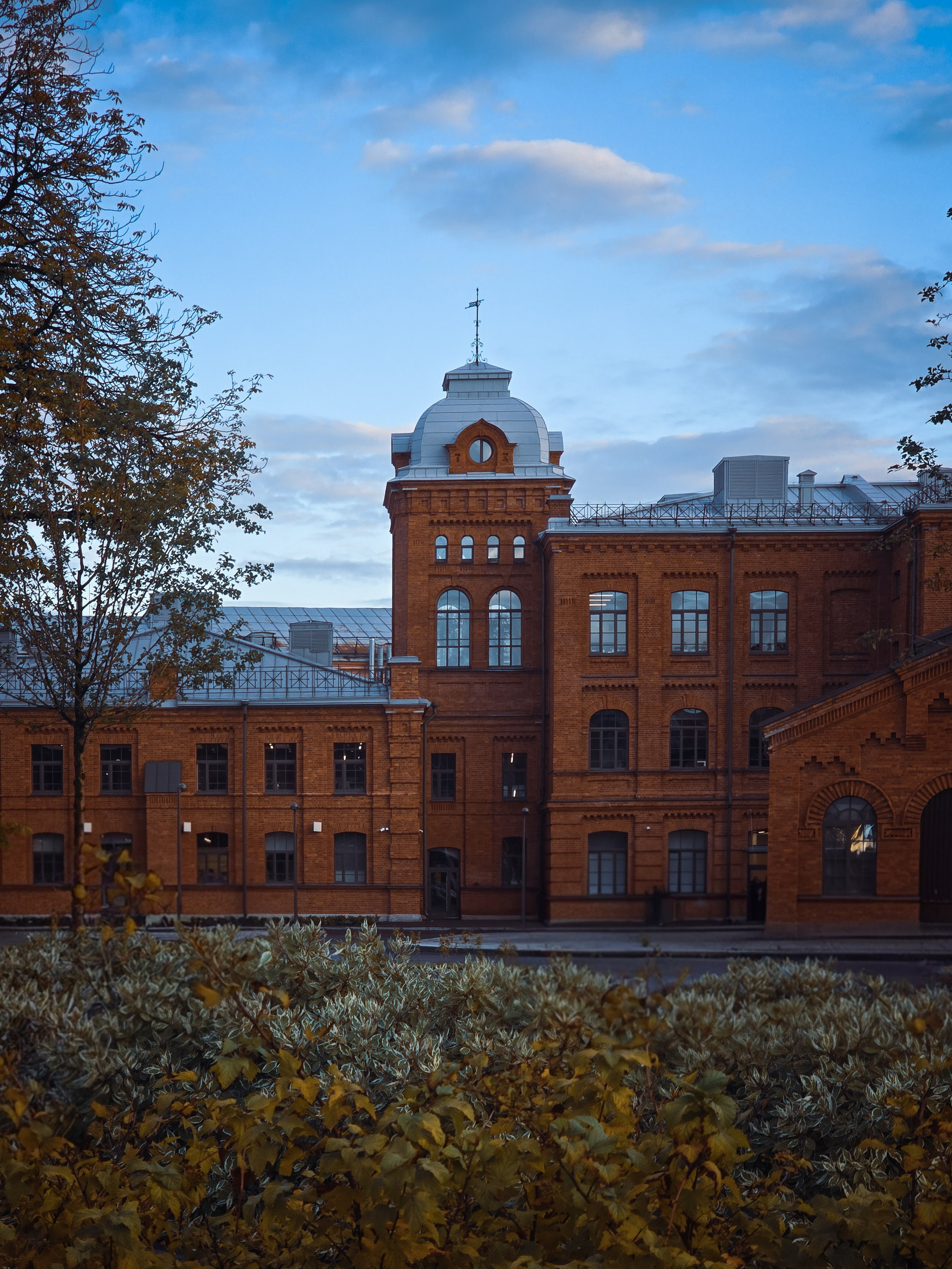 Фотографии Питера снятые на телефон