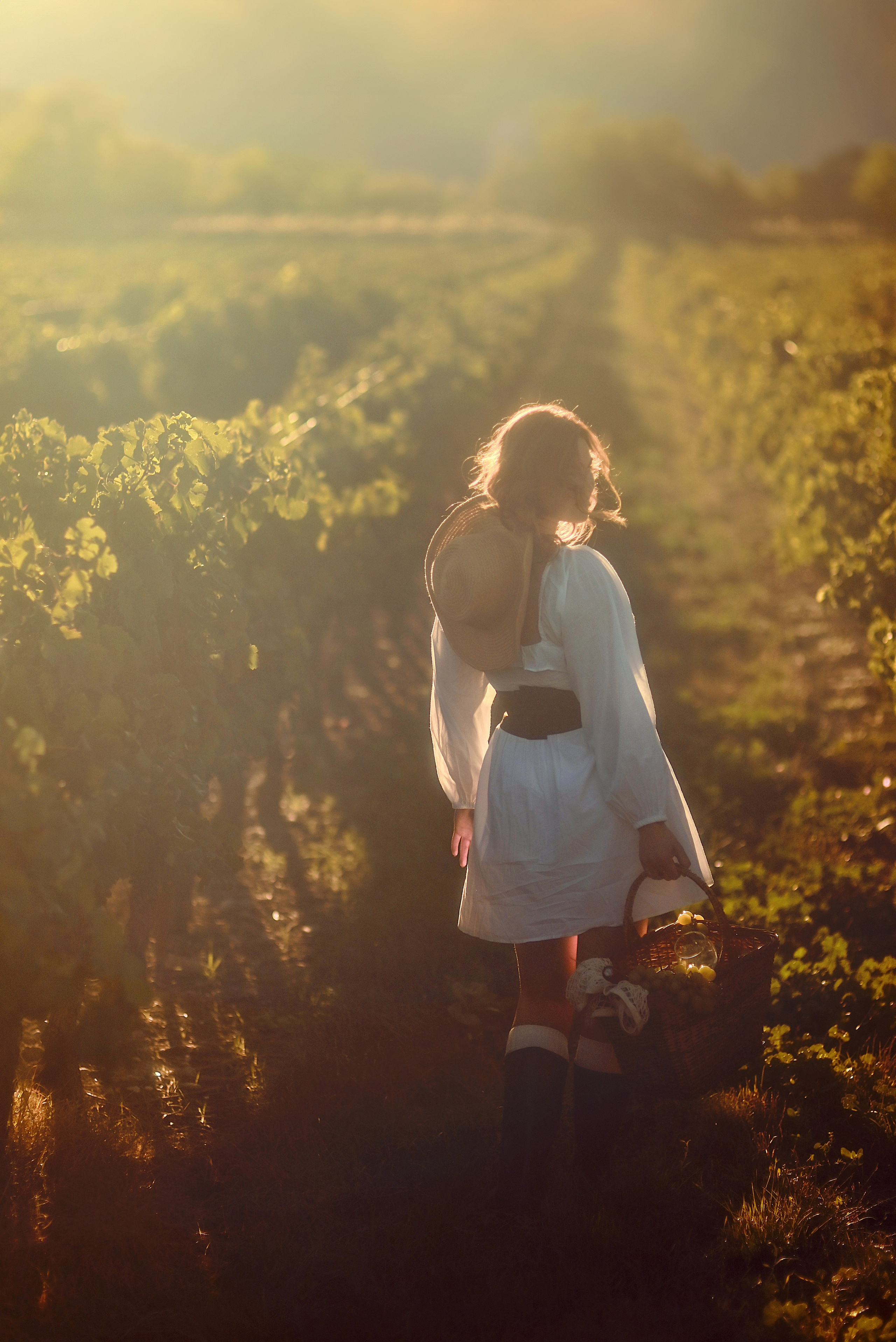 🍁 Séances Photo d’Automne dans les Vignobles de Provence. Photographer in Provence Julia Lipiainen