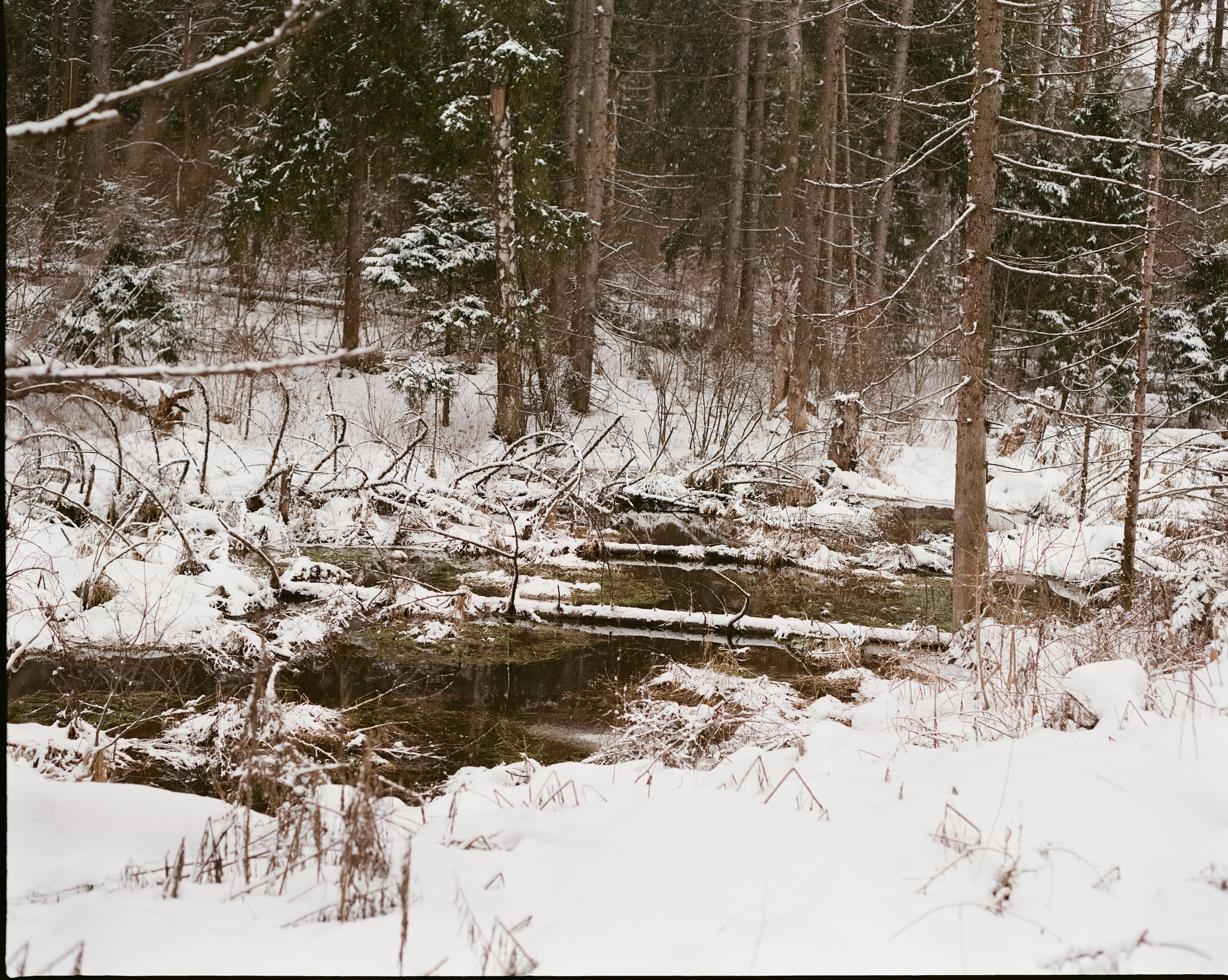 Pentax 67 105 mm f/2.4